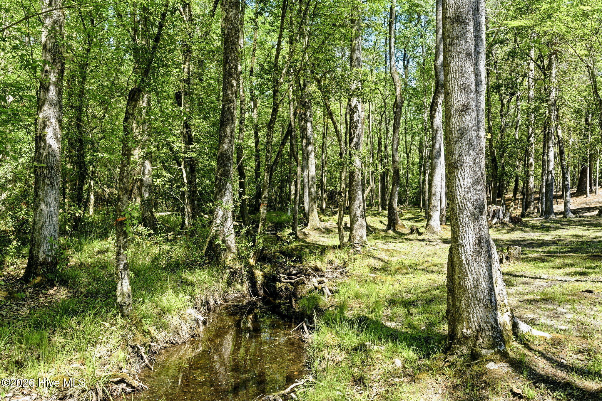 375 & 383 Wolfridge Road NE, Leland, NC, 28451