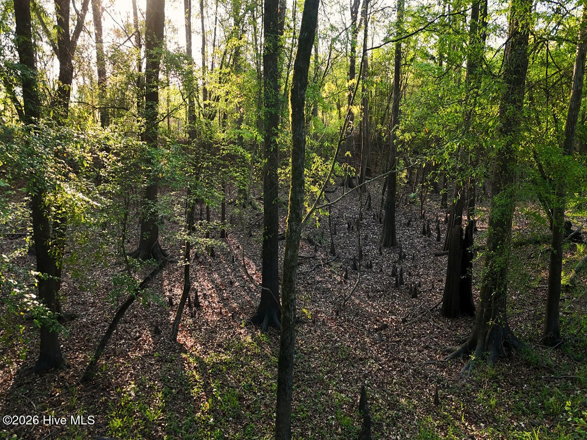 0 Durwood Evans Road, Beulaville, NC, 28518