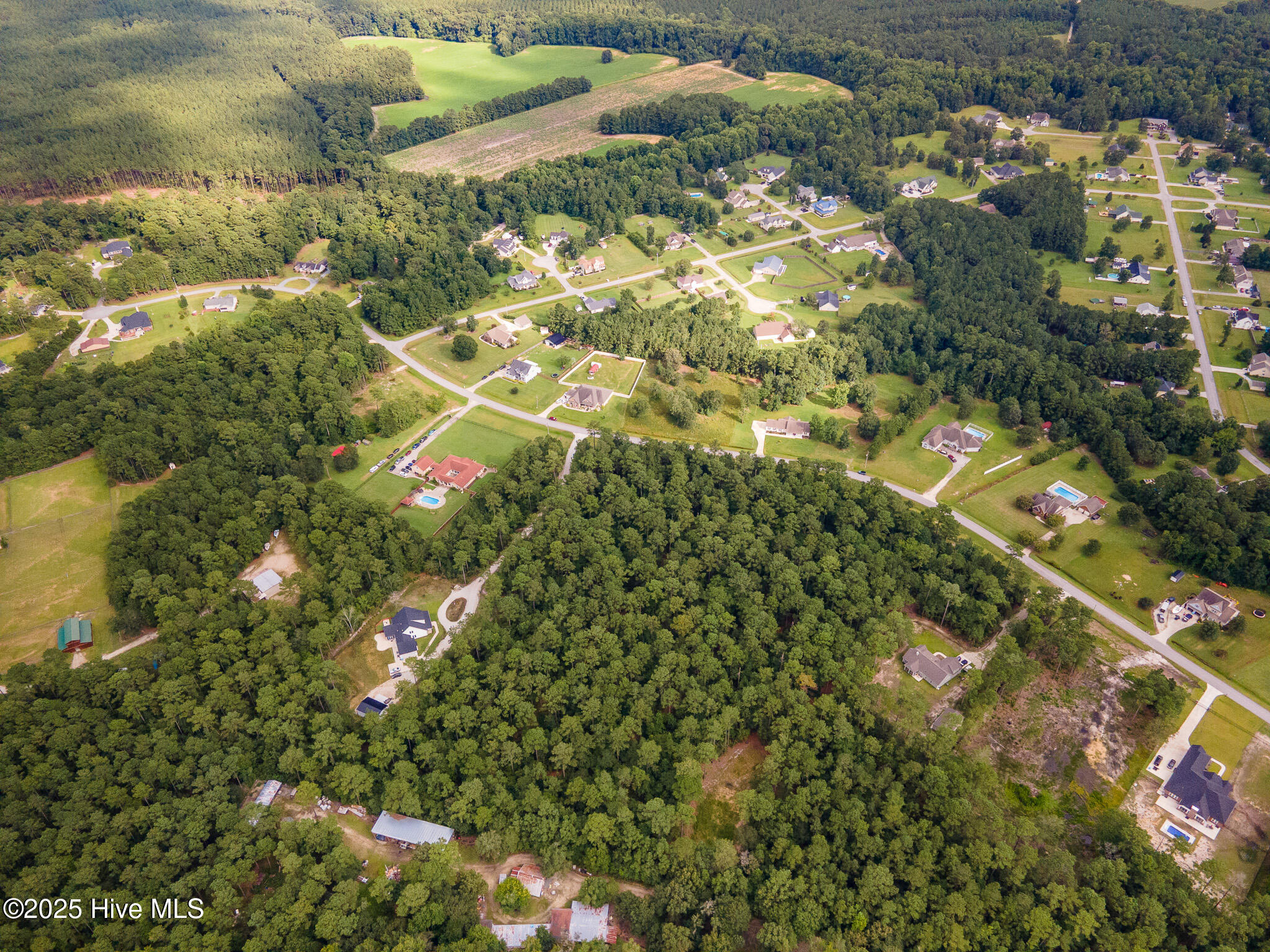 100523955 | Photo 15