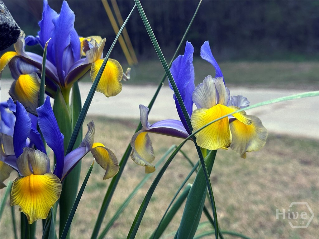 1104 Farm Road, Colbert, GA, 30628