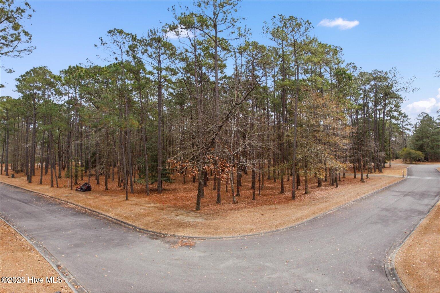 100555112 | Photo 16