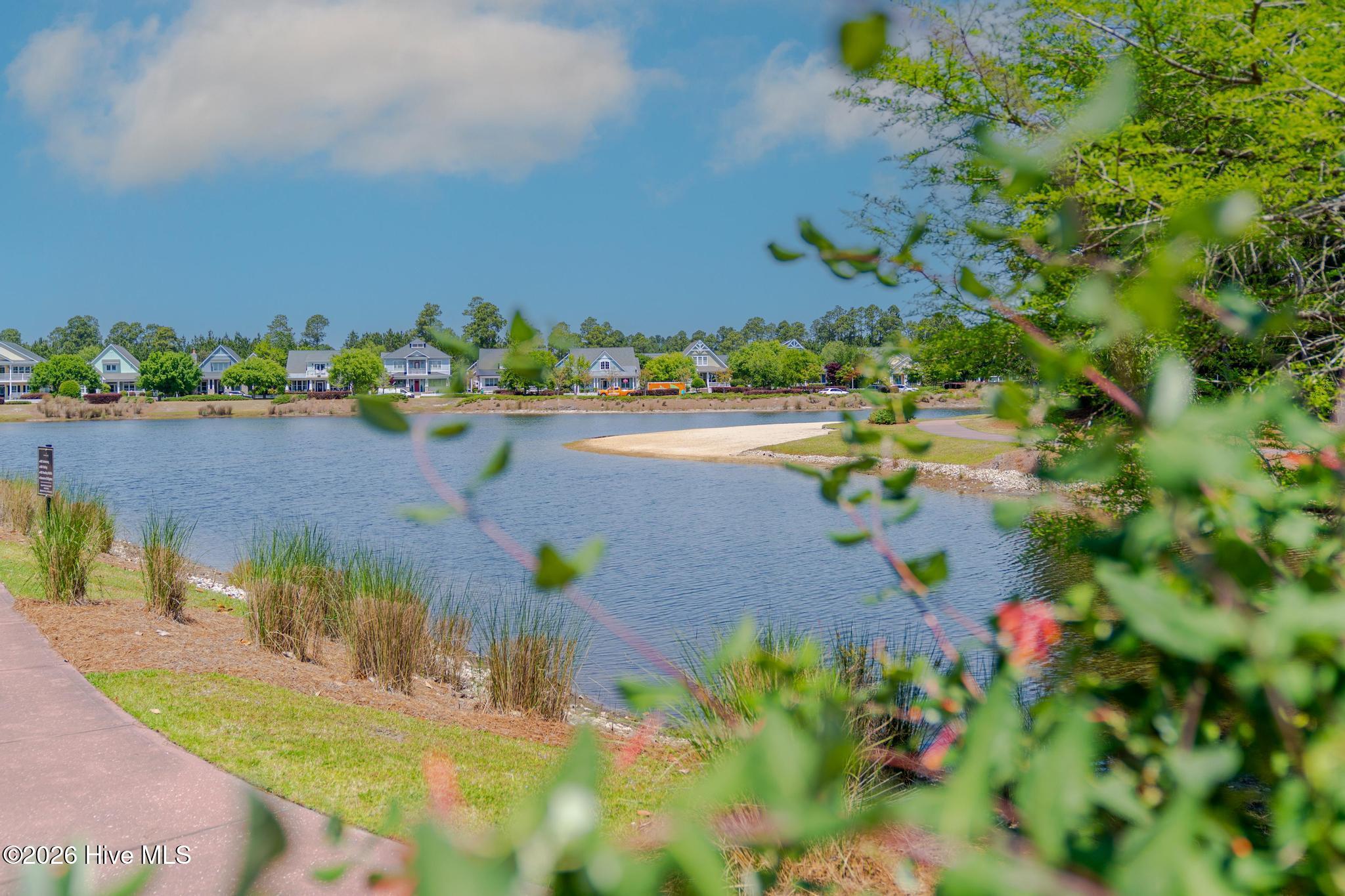 100569949 | Photo 49