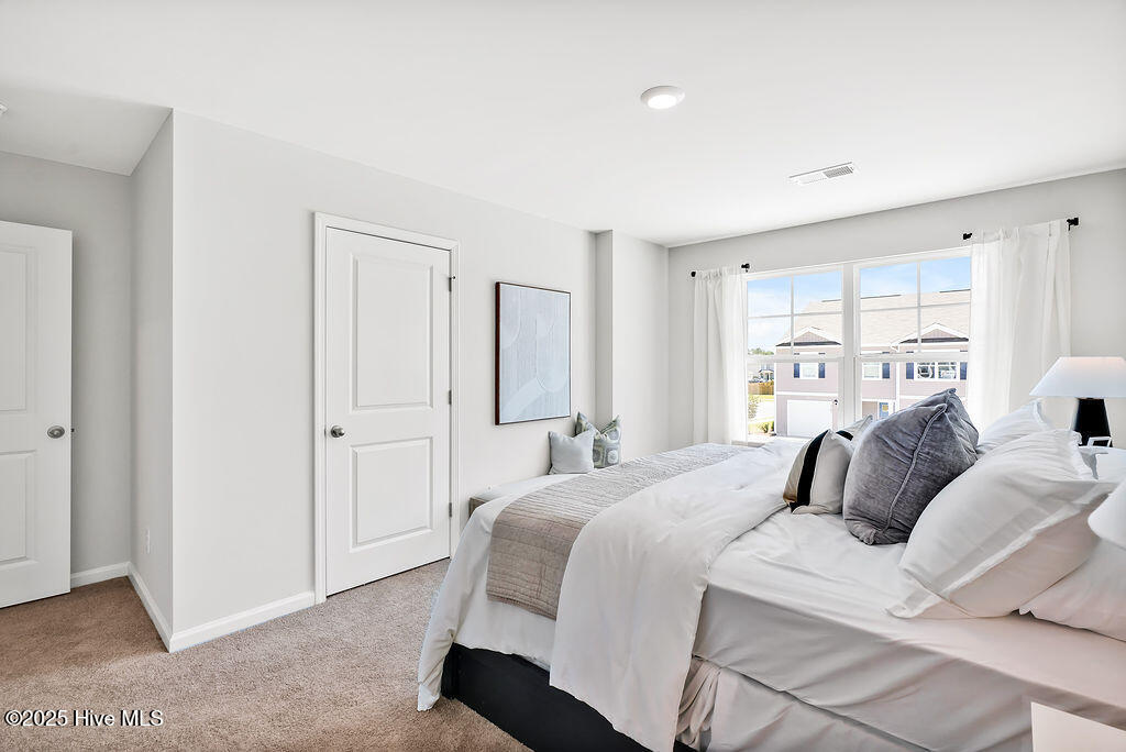 100545951 | Photo 20