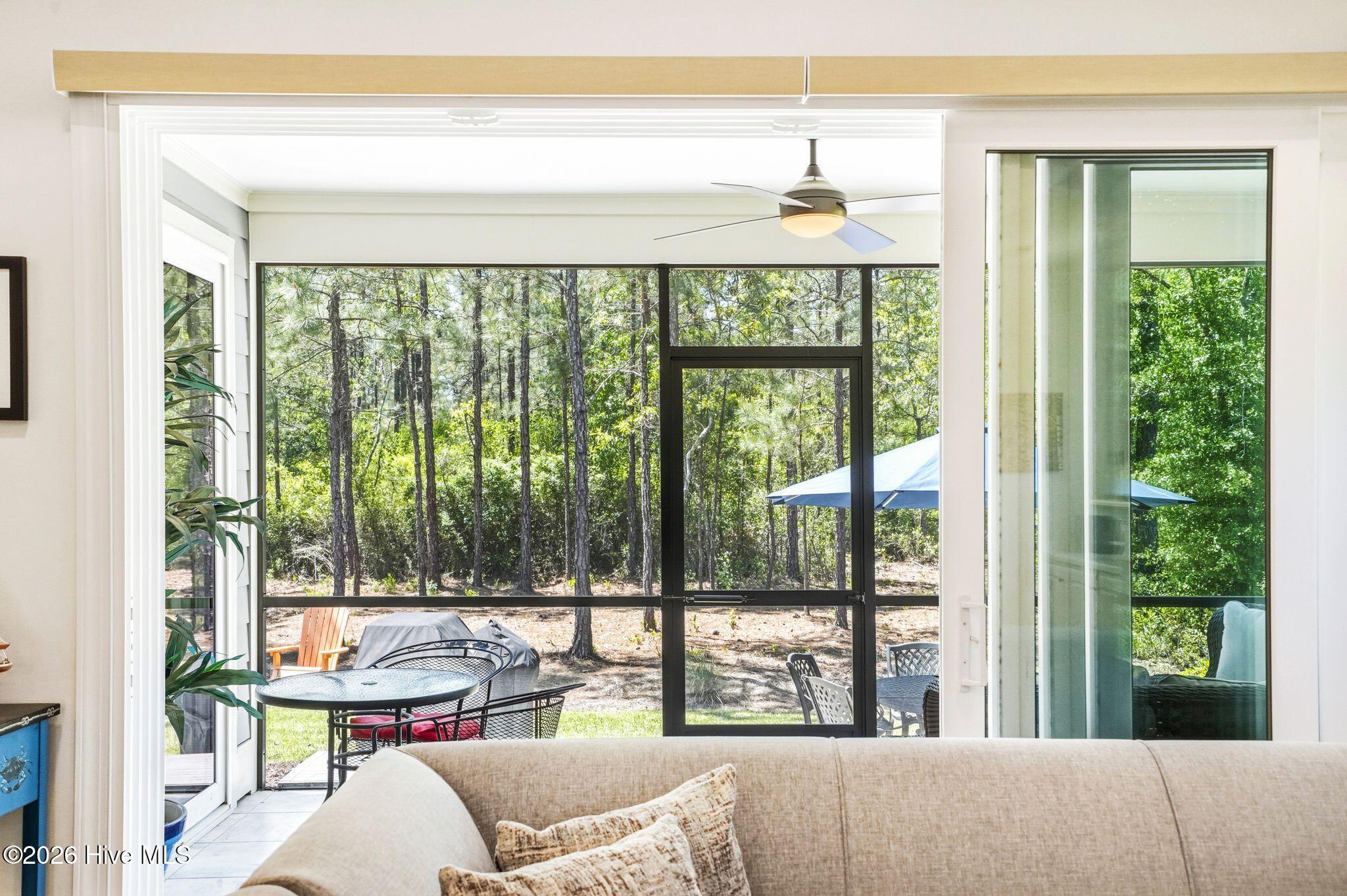 100569004 | Photo 41