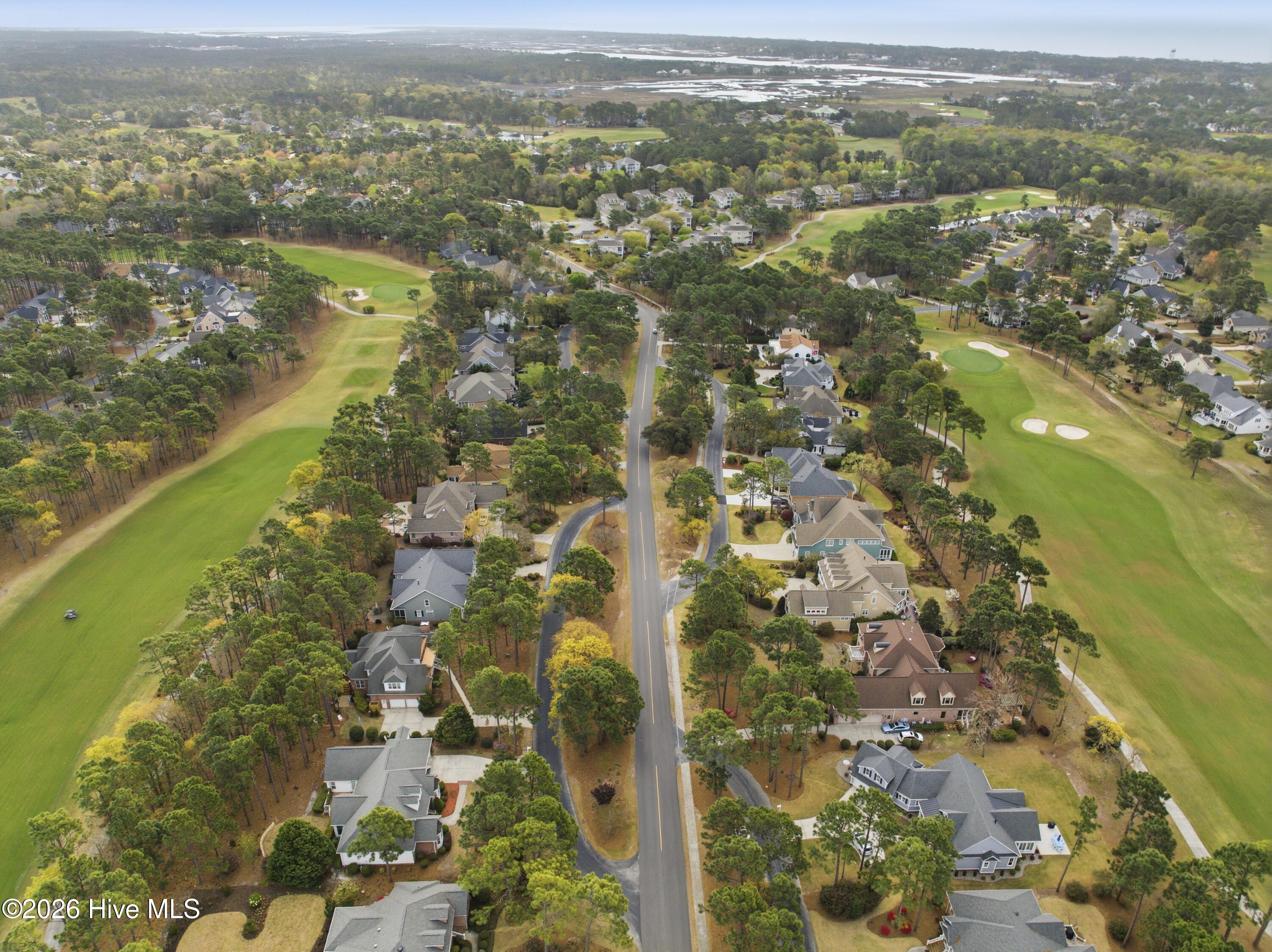 100564679 | Photo 69