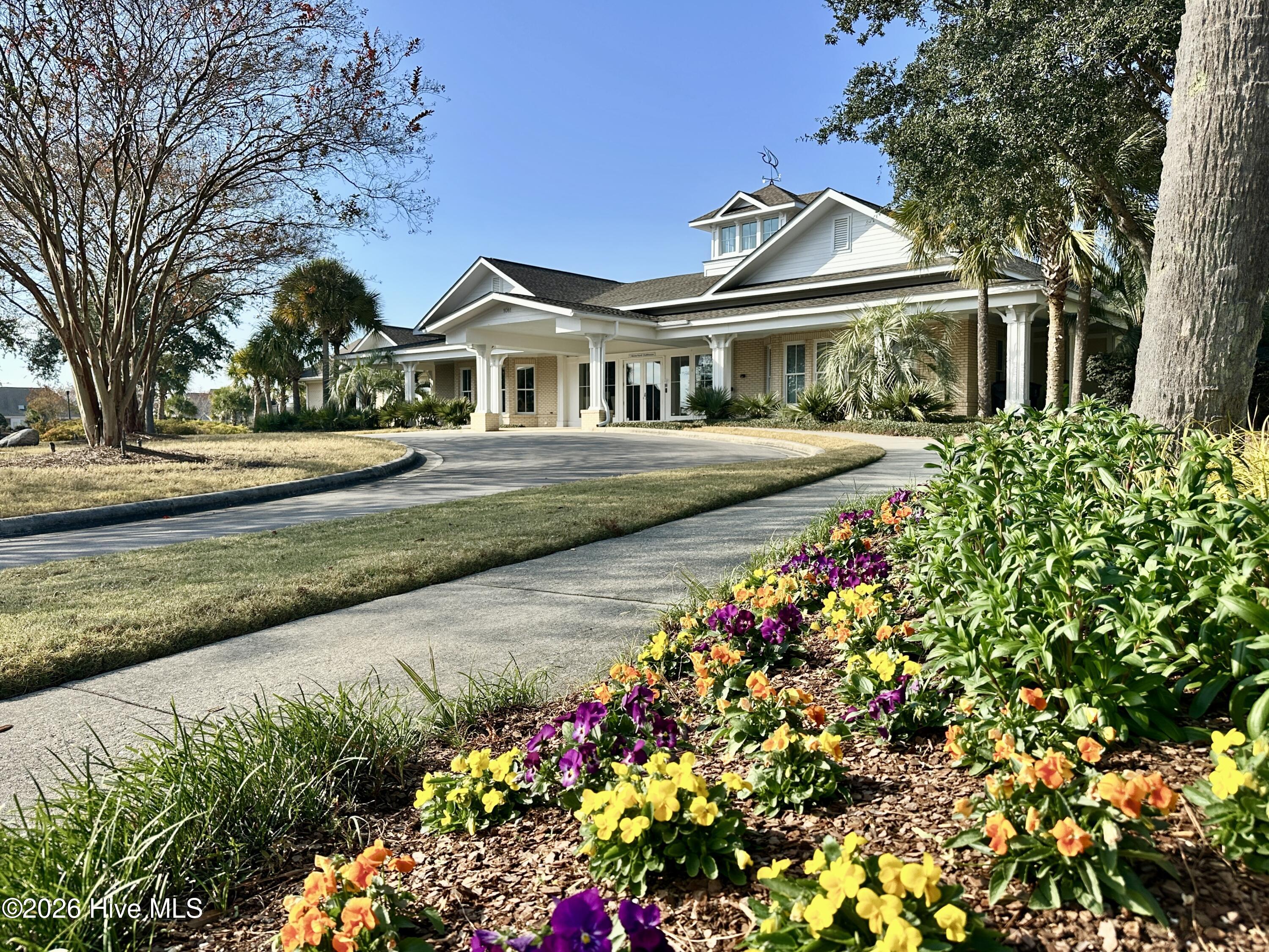 100554045 | Photo 44