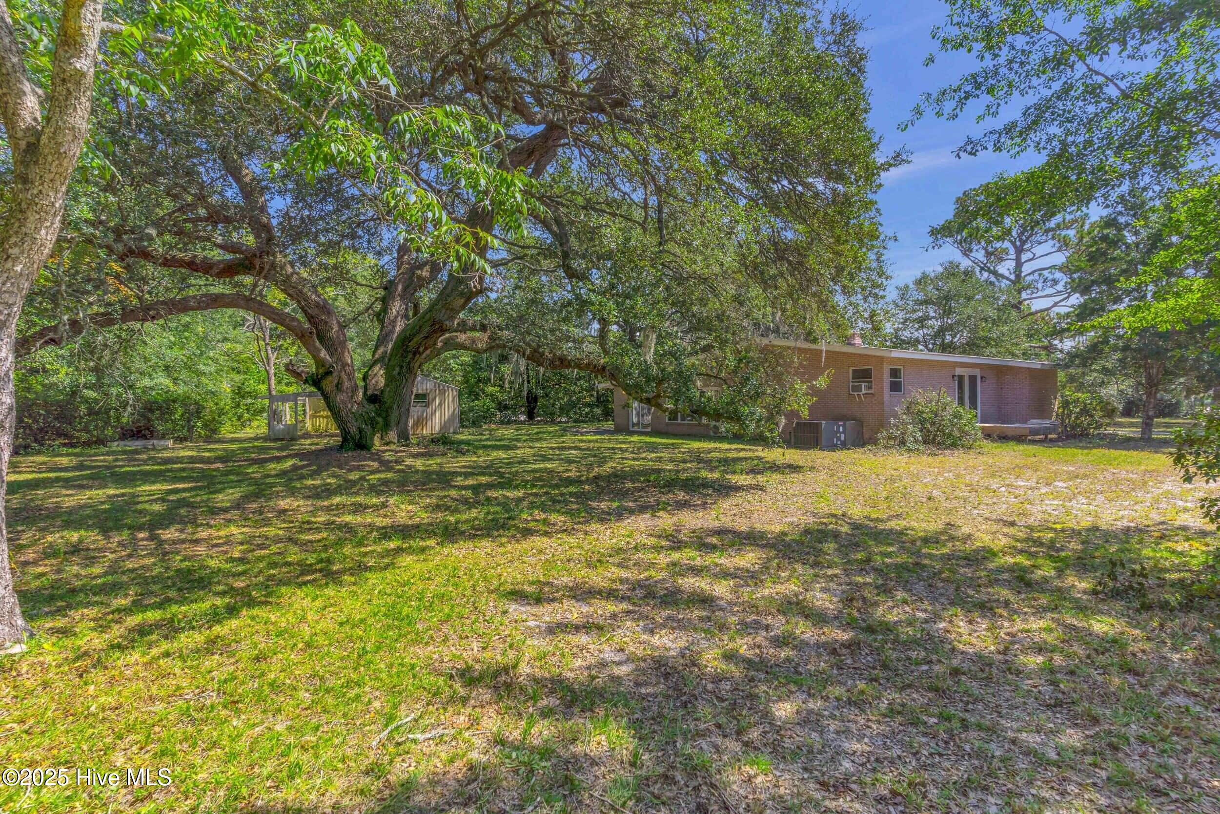 100532133 | Photo 42