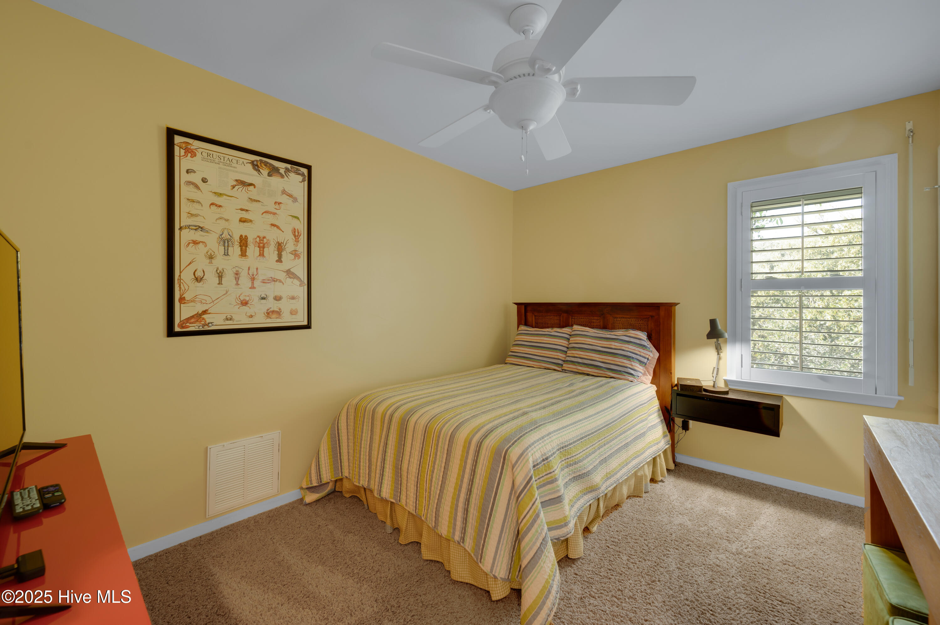 100498545 | Photo 91