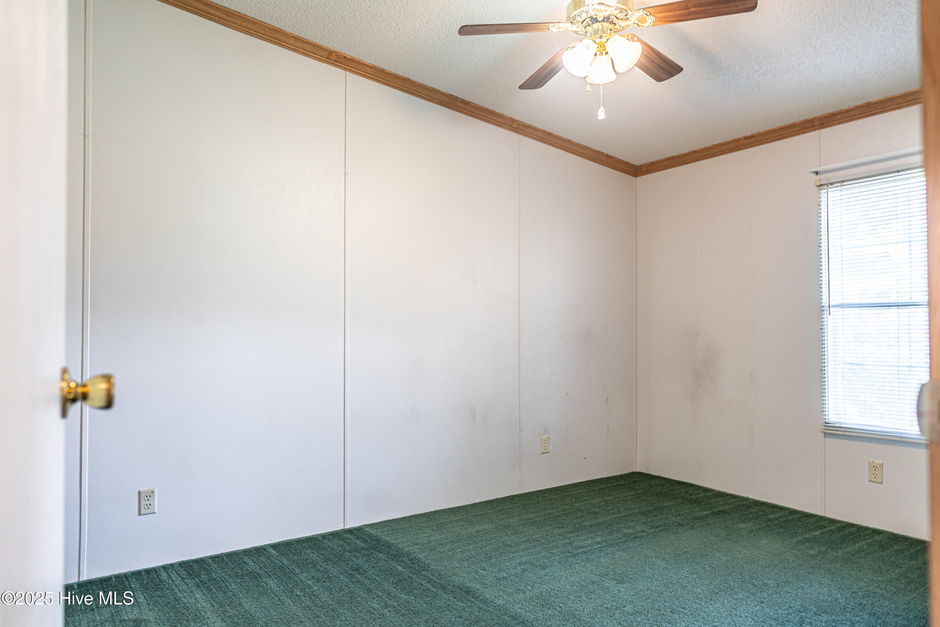 113 Holly Place