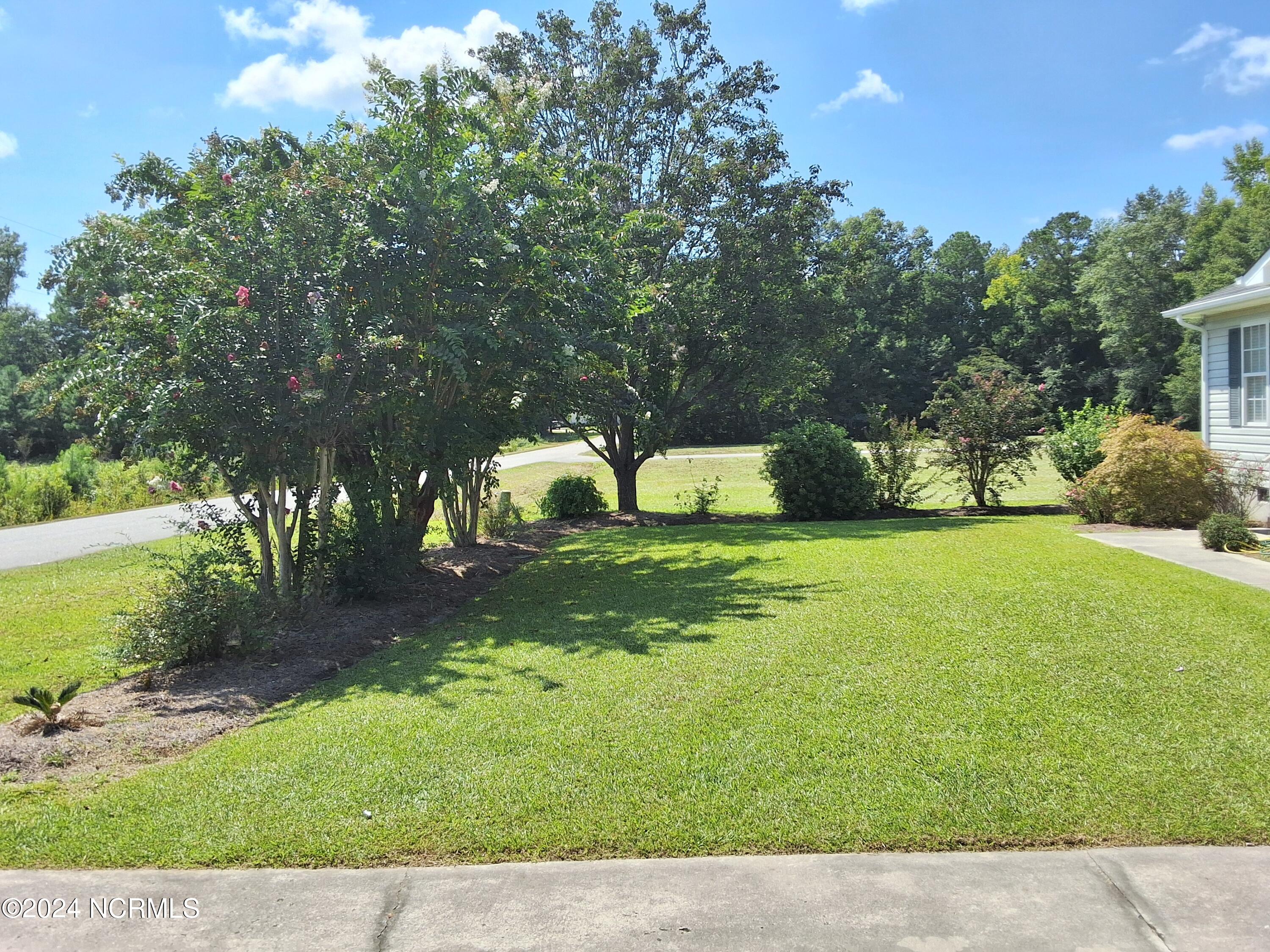 100463336 | Photo 51