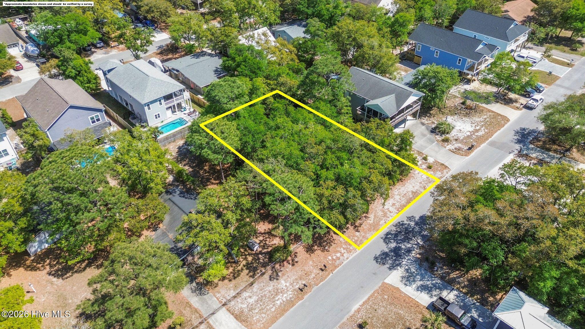 100569919 | Photo 12