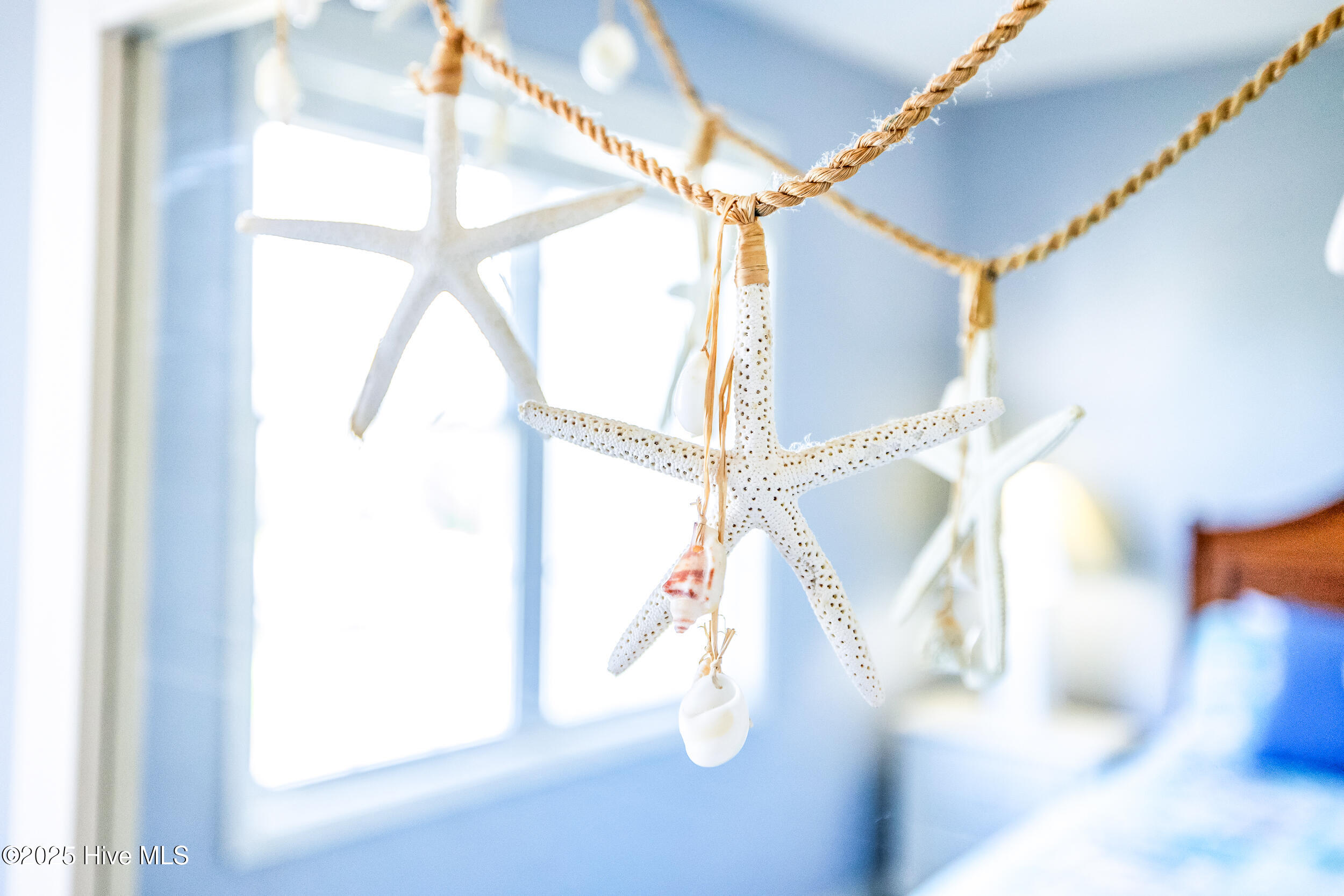 100509917 | Photo 47