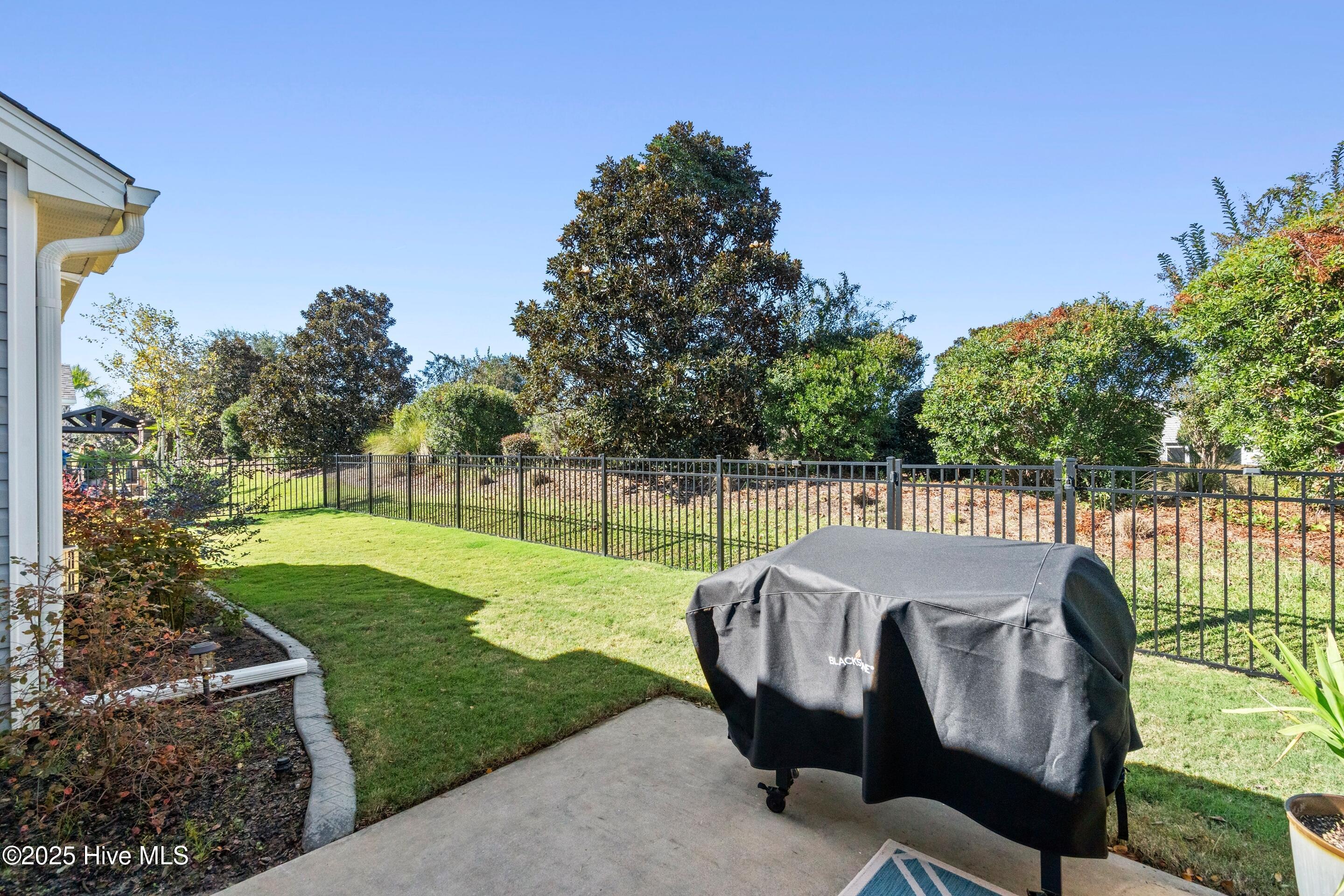 100537197 | Photo 40