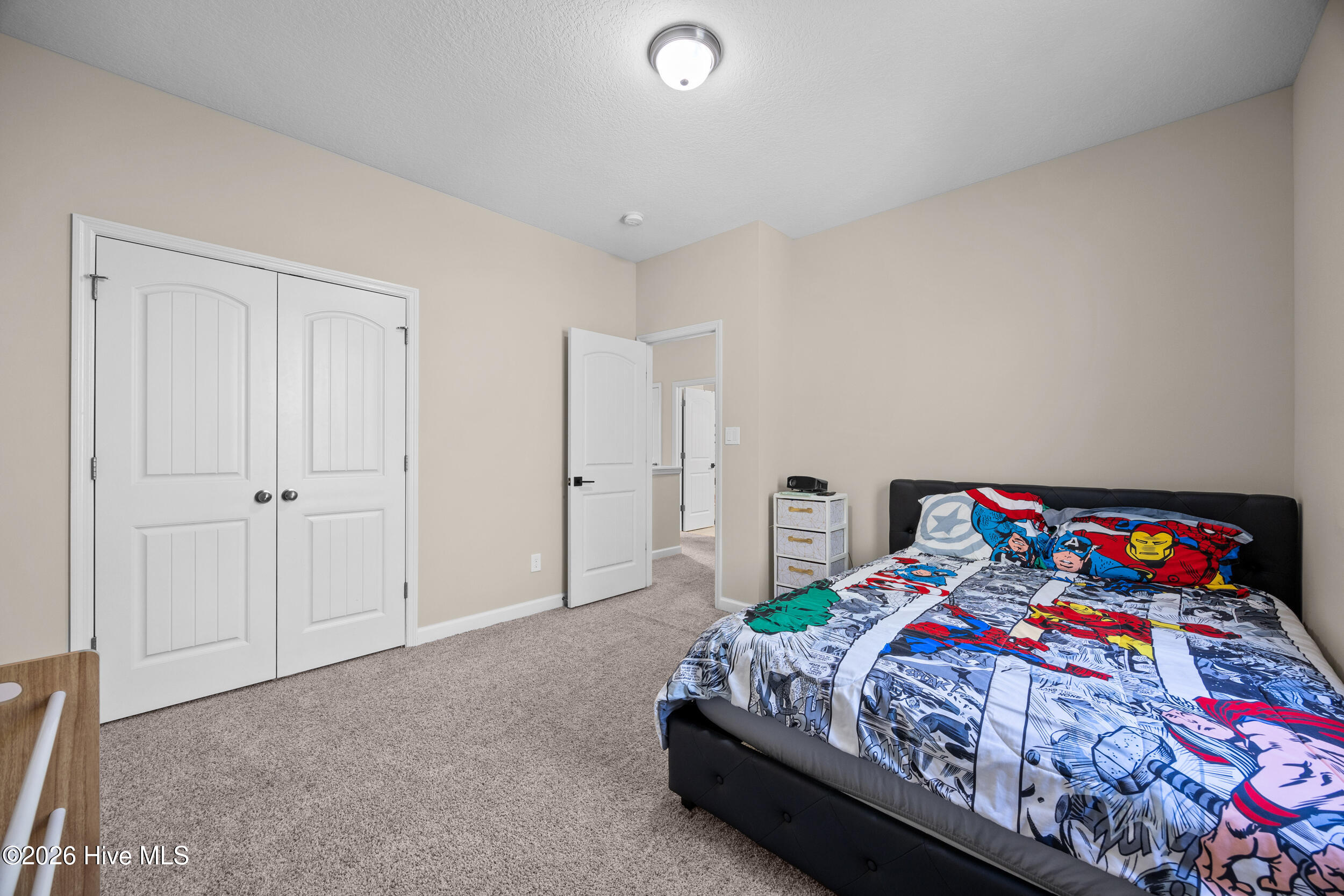 100566165 | Photo 27