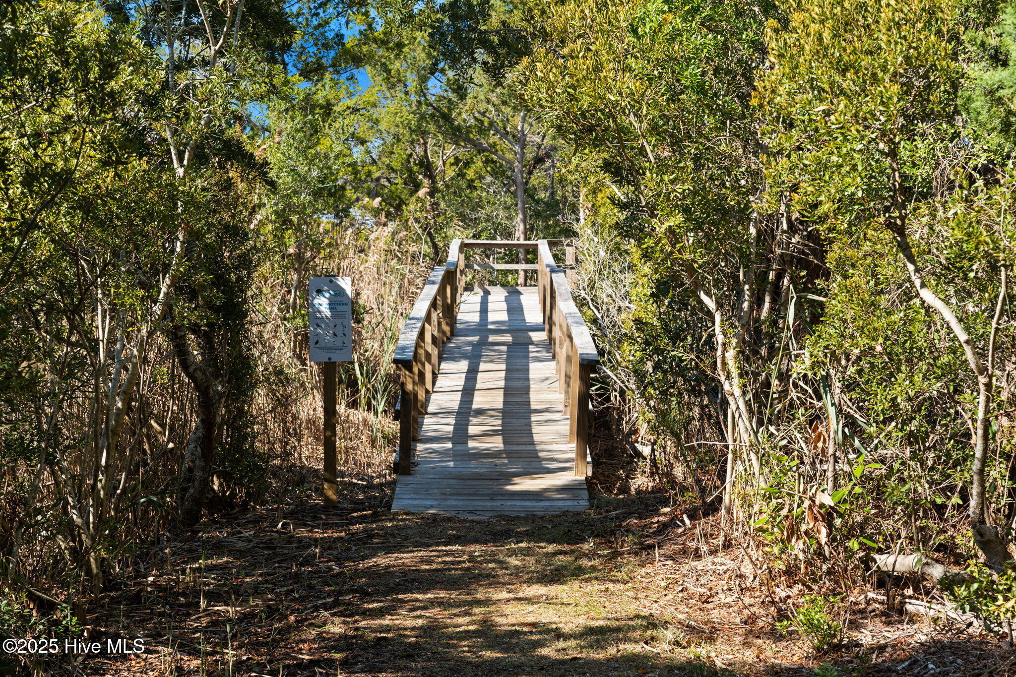 100541037 | Photo 55