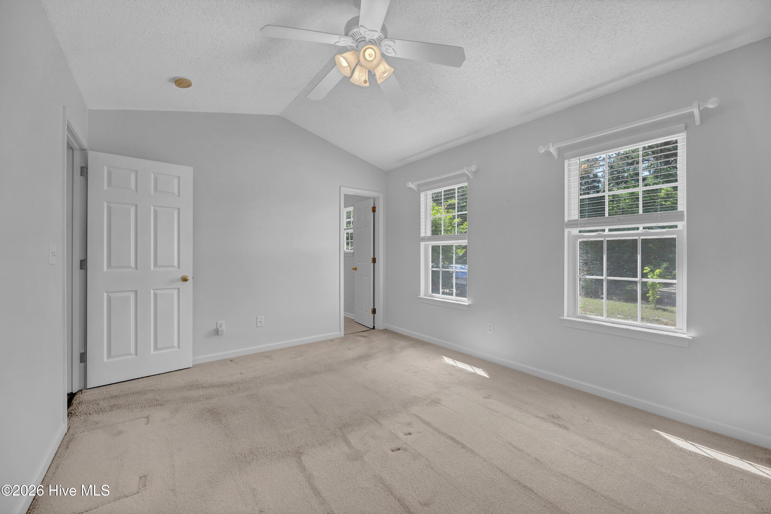 100569436 | Photo 16