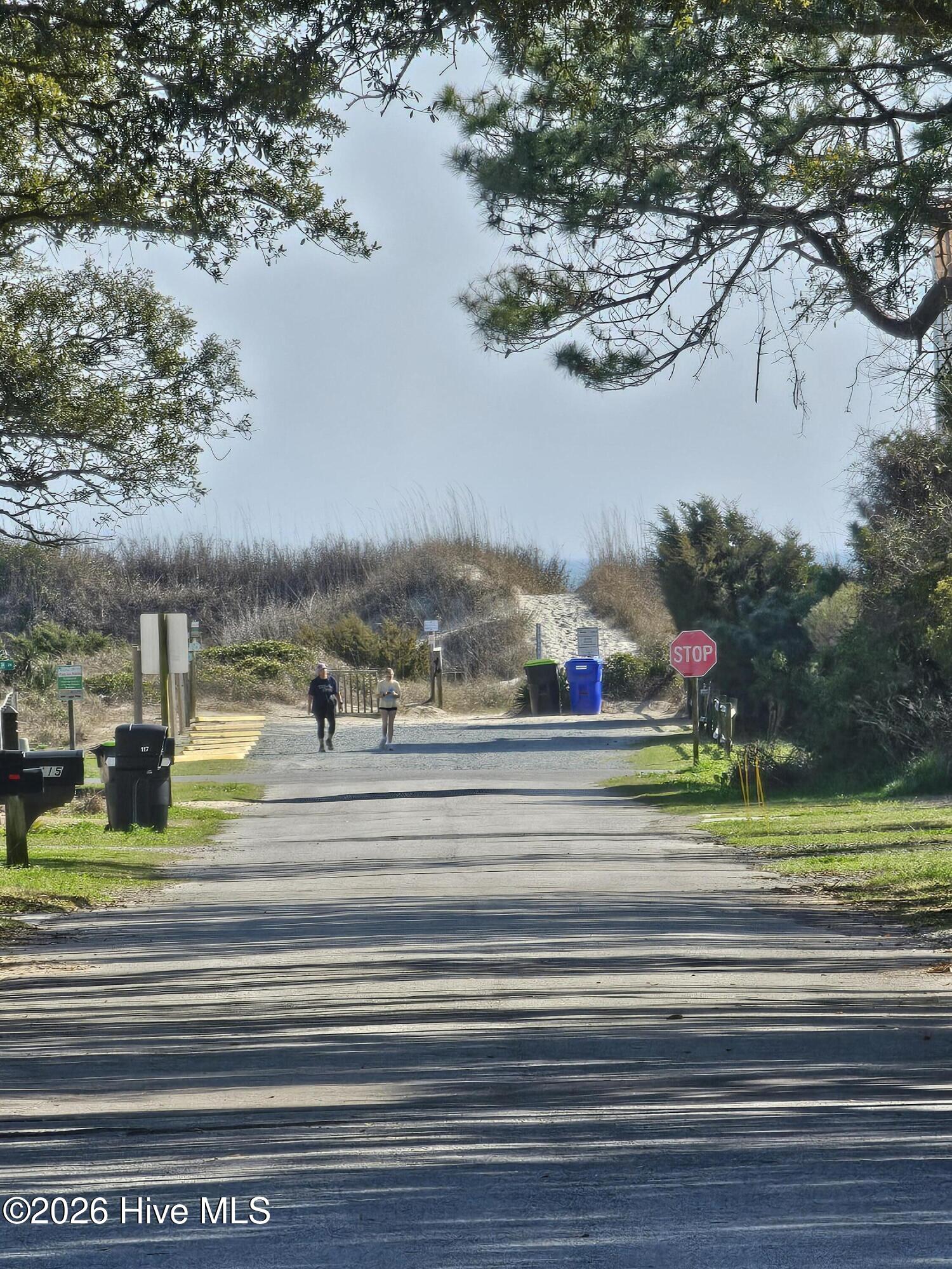 100559345 | Photo 22