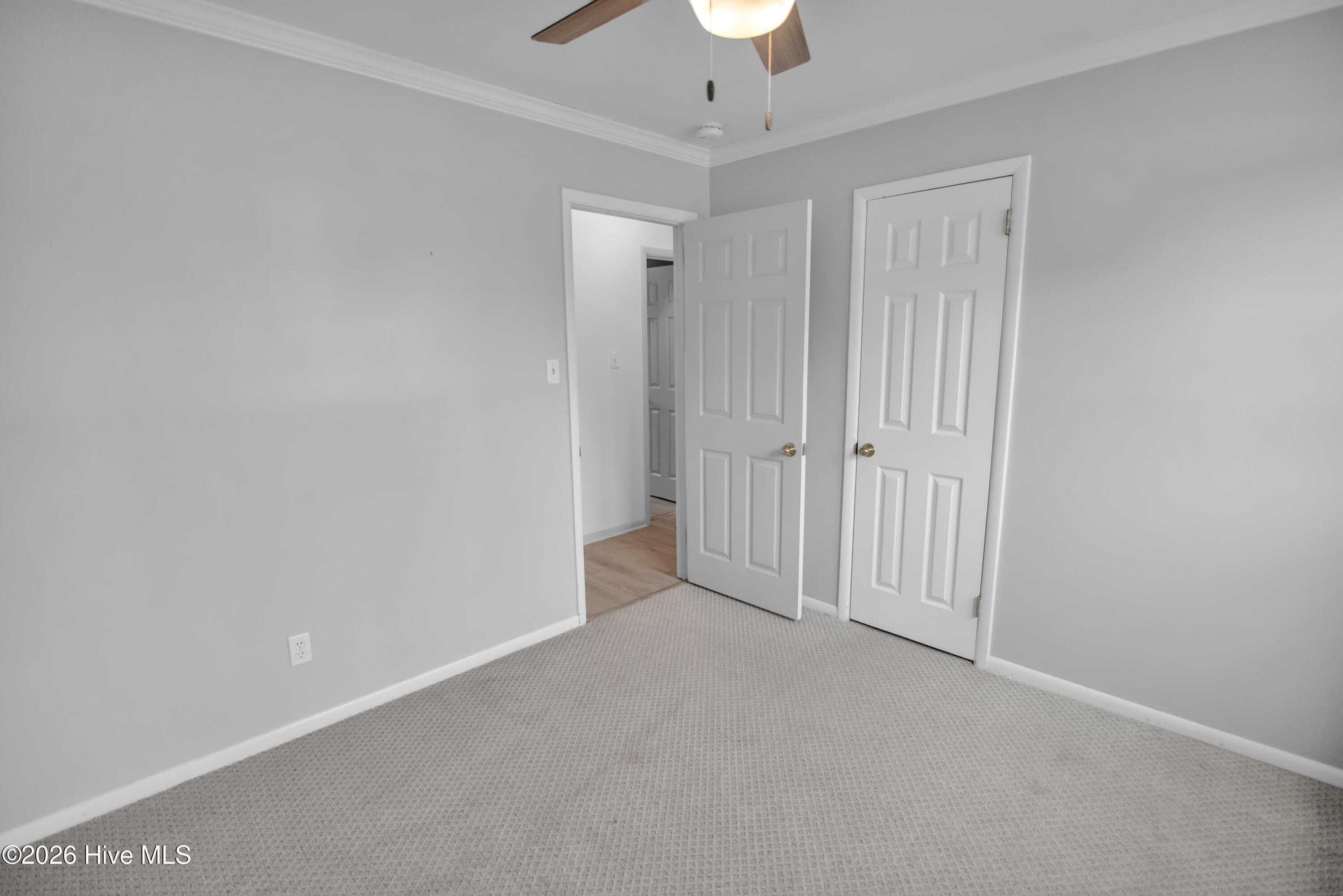 100547879 | Photo 10