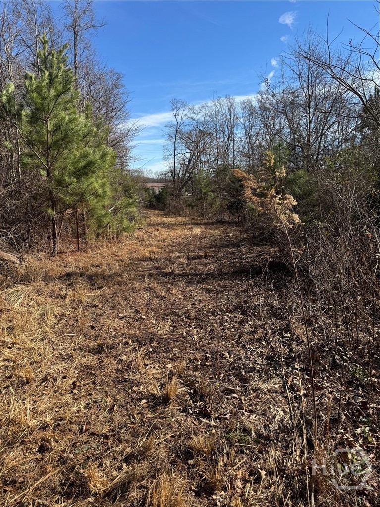 738 Old Mineral Springs Road, Elberton, GA, 30635