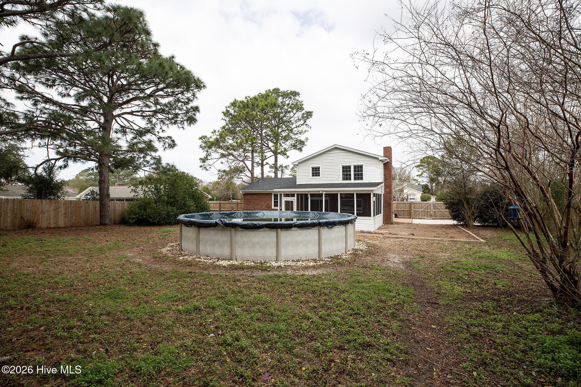 100558477 | Photo 42