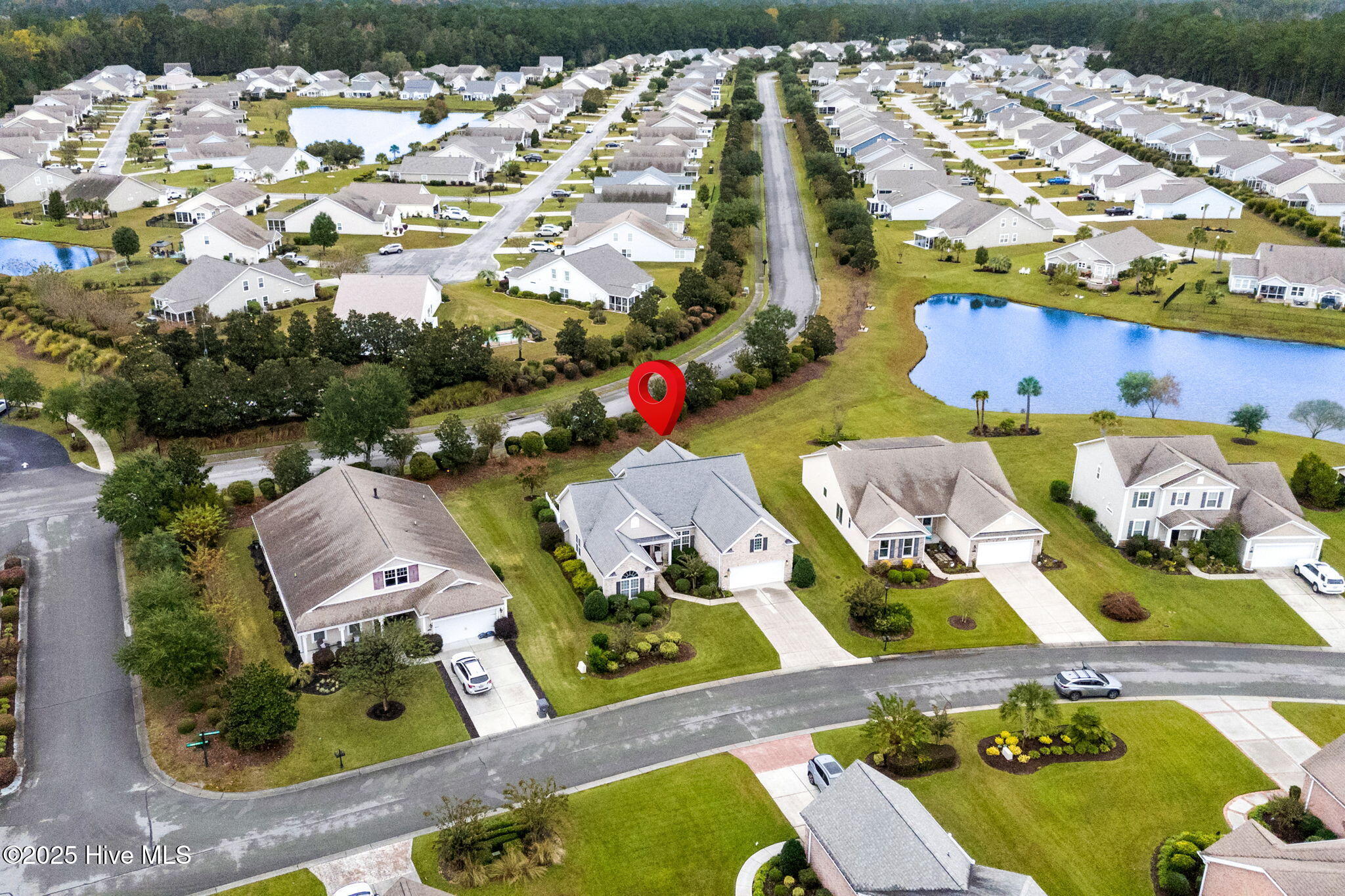 100538854 | Photo 49