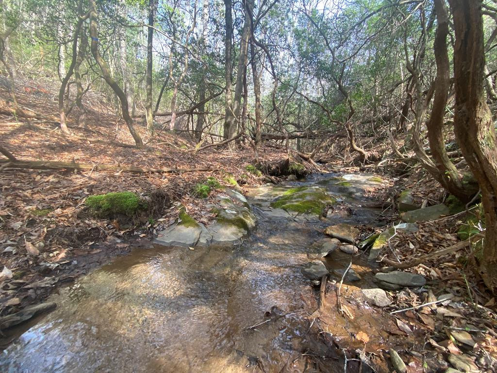 11 Ludlum, Hayesville, North Carolina, 0 ,For sale,Ludlum,98544636 11 Ludlum, Hayesville, North Carolina, 0 ,For sale,Ludlum,98544636