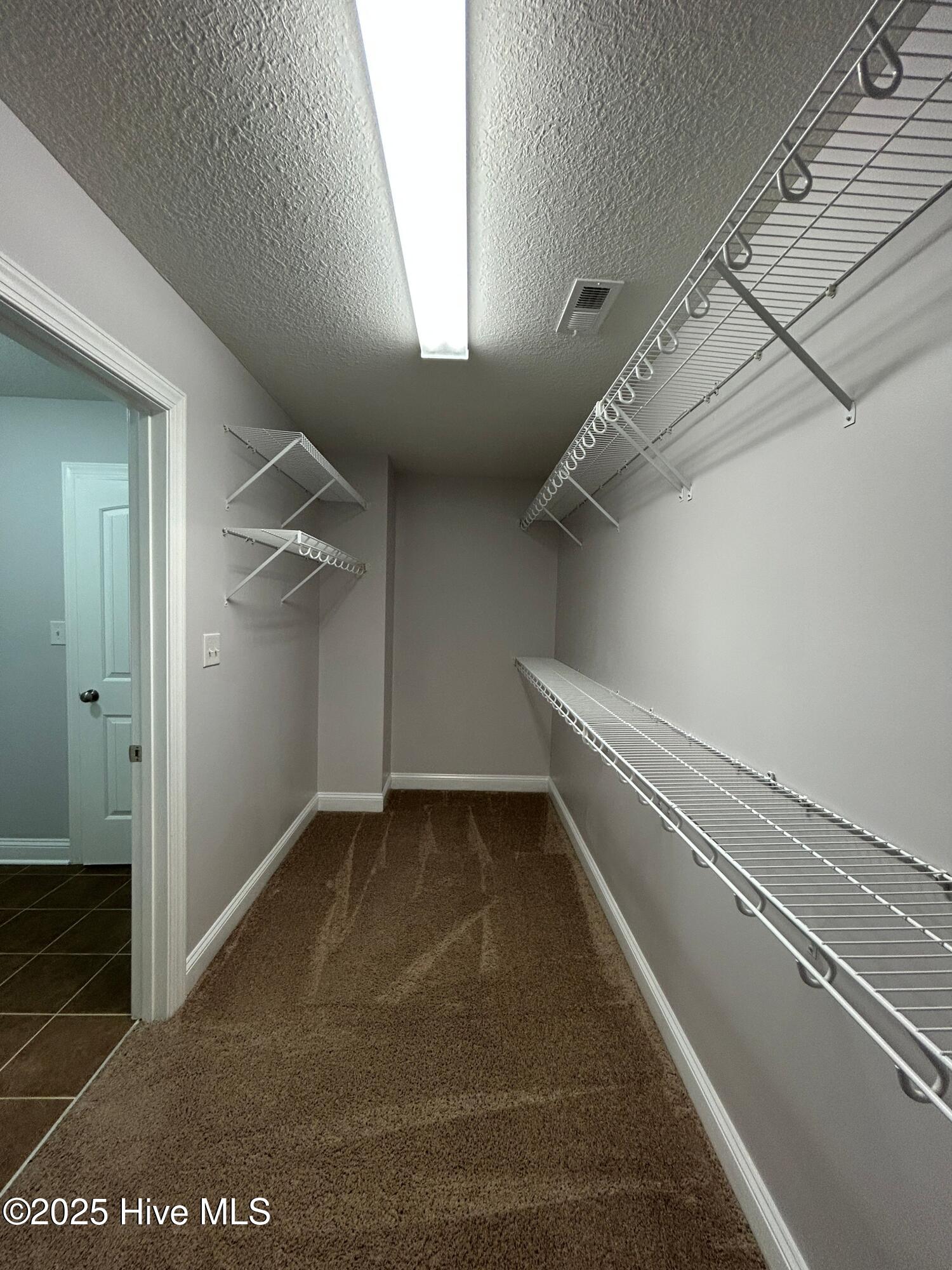 100528484 | Photo 25