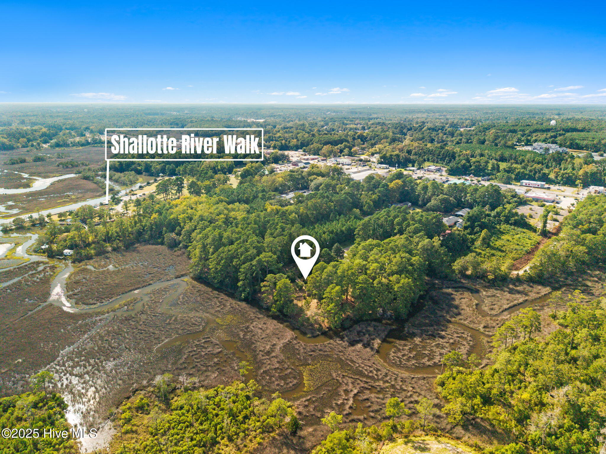 100534429 | Photo 15