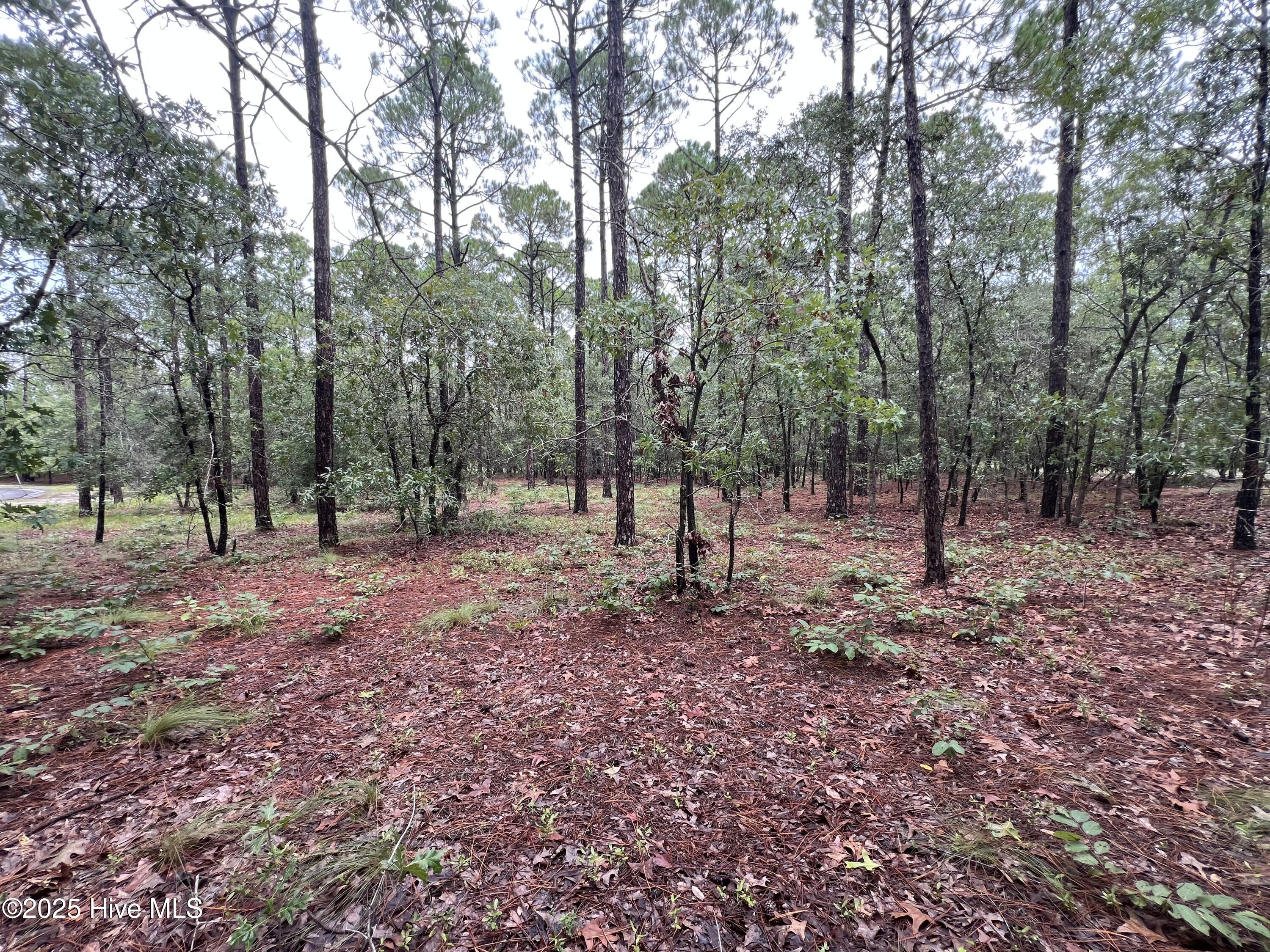 100527062 | Photo 18