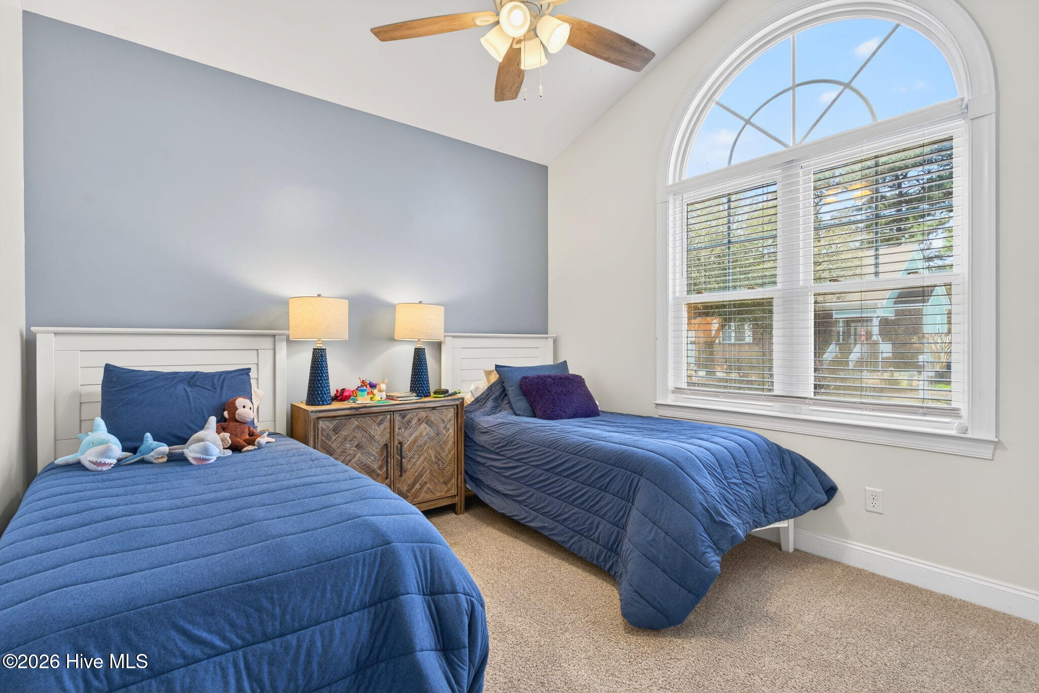 100558158 | Photo 32