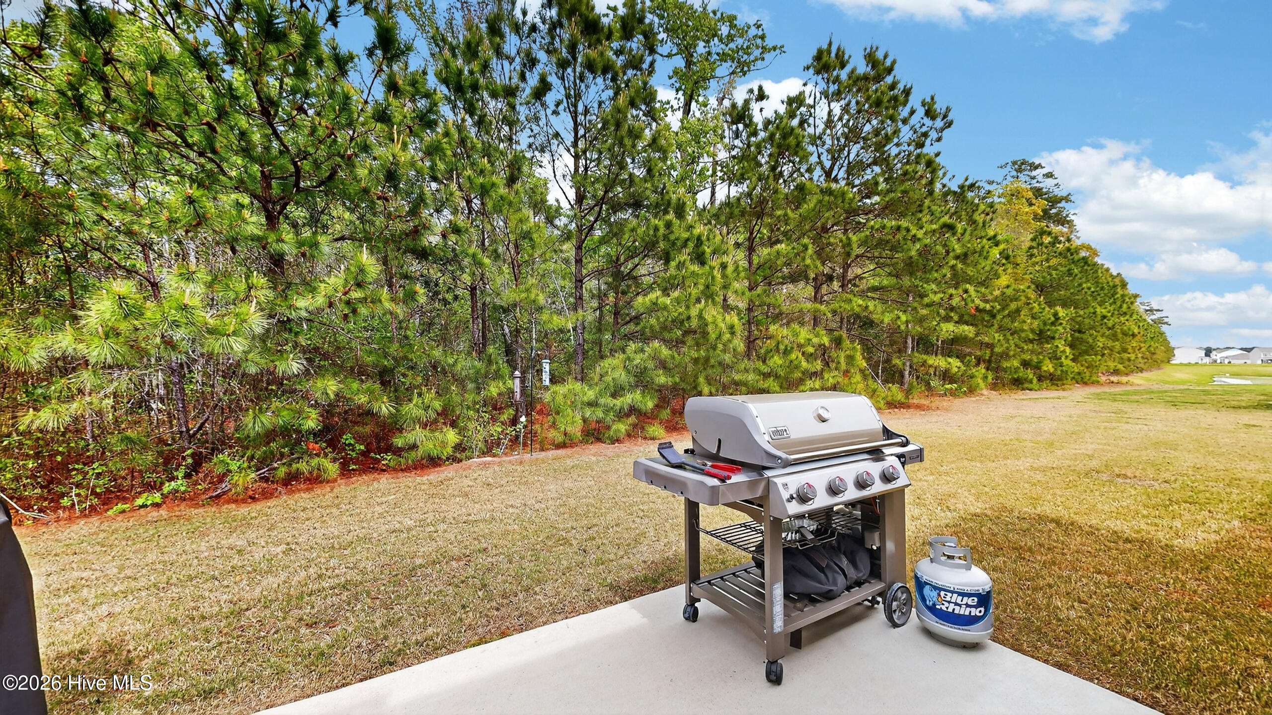 1720 Dew Meadow Drive, Winterville, NC, 28590