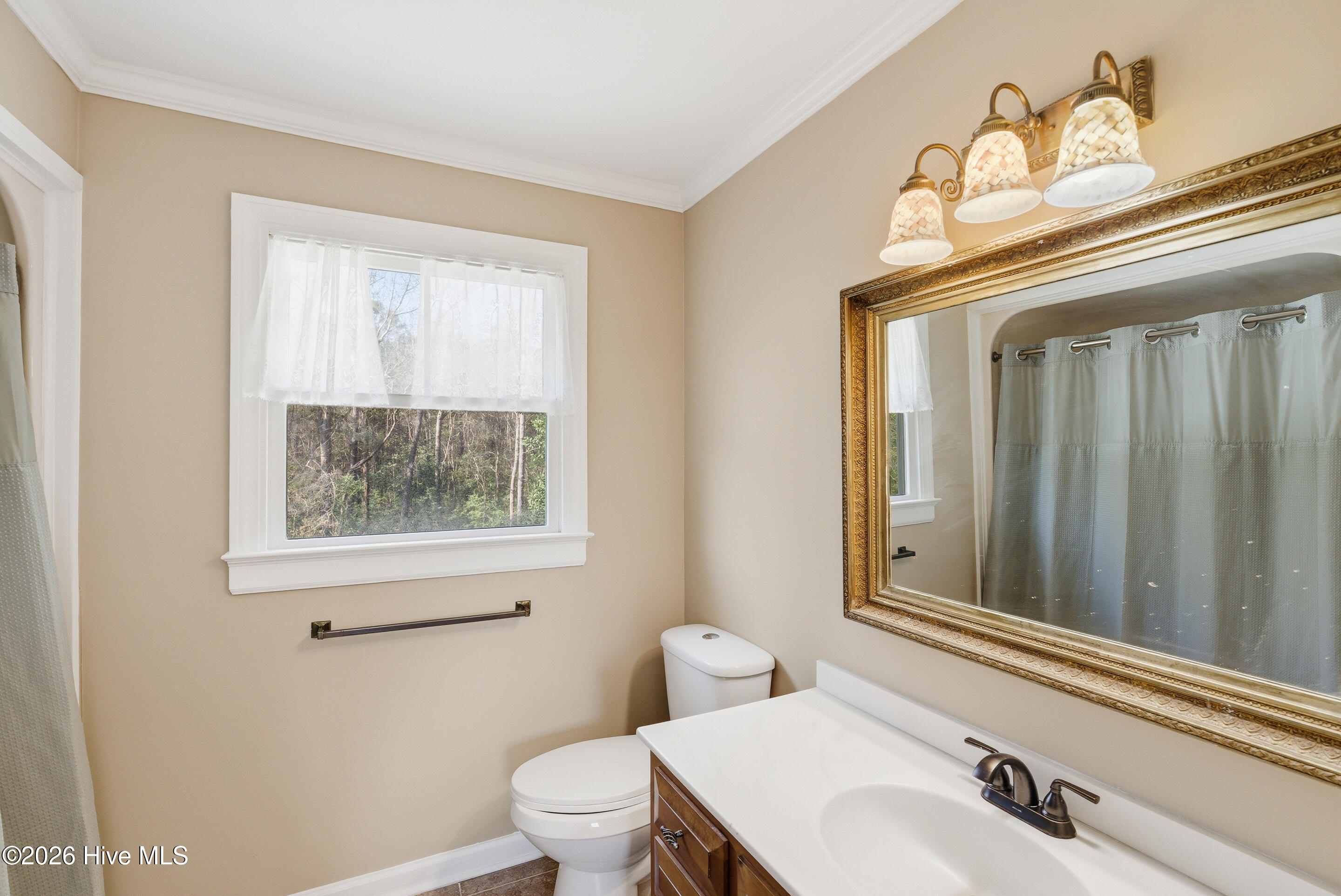 100563536 | Photo 24