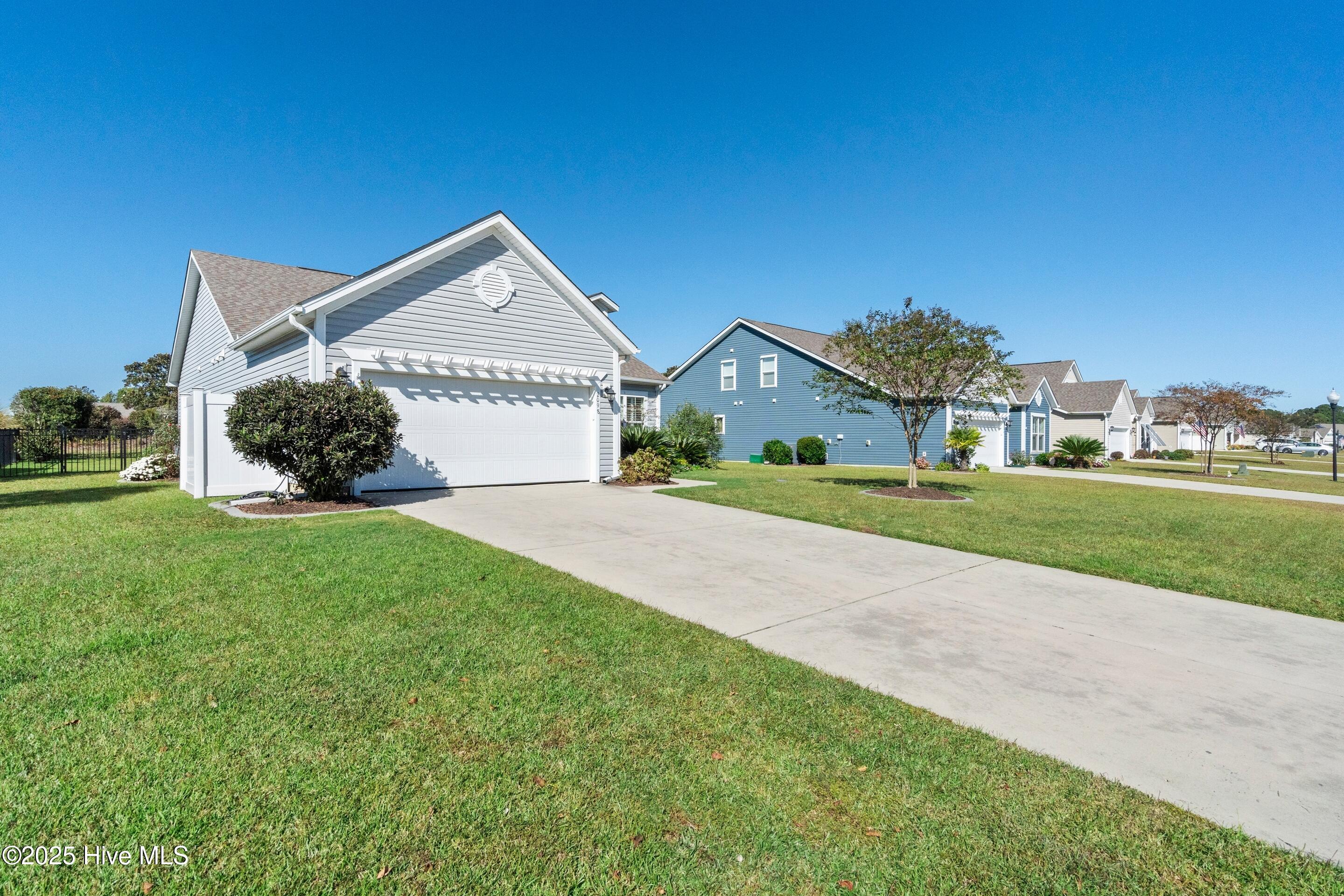 100537197 | Photo 47