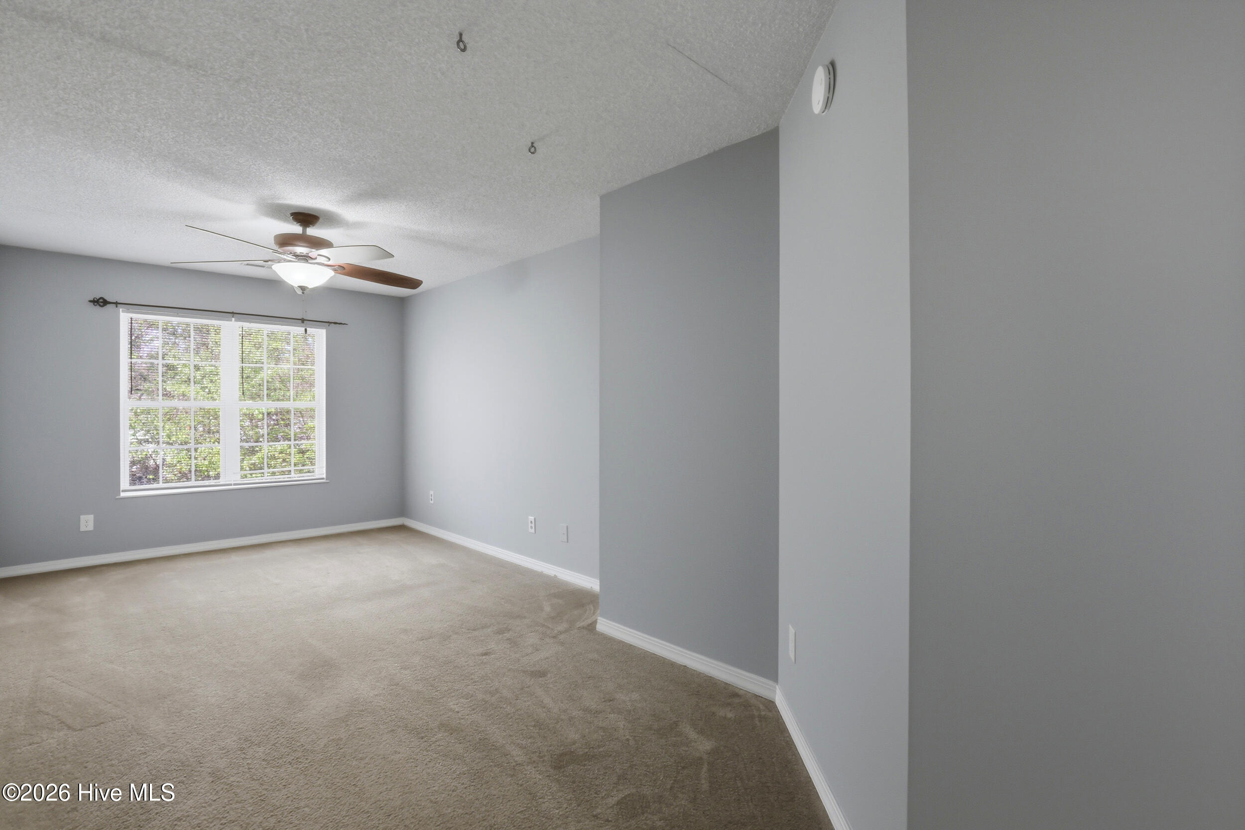 100564437 | Photo 28