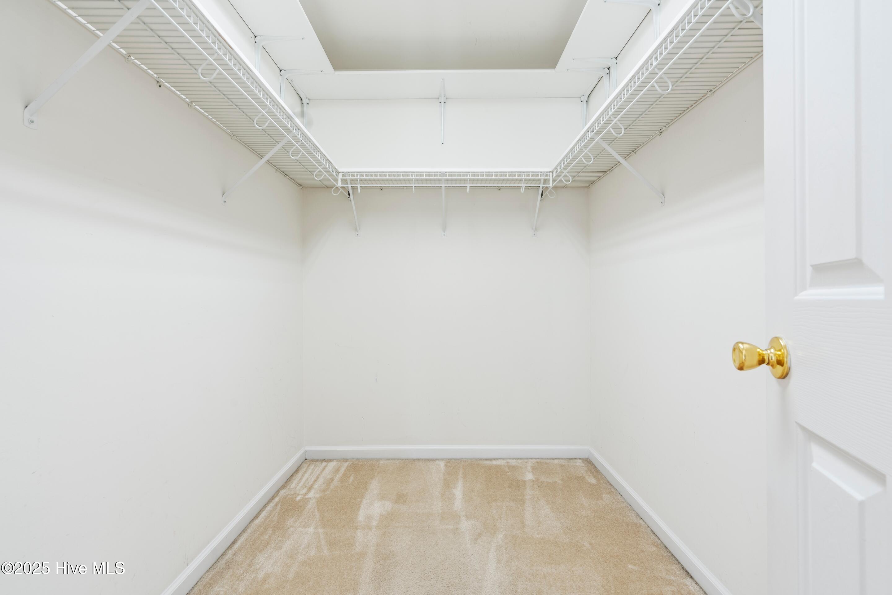 100511628 | Photo 31