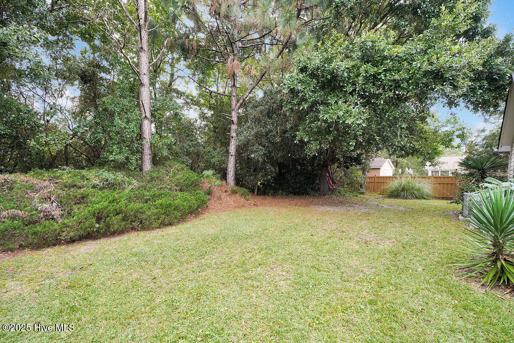 100536074 | Photo 23