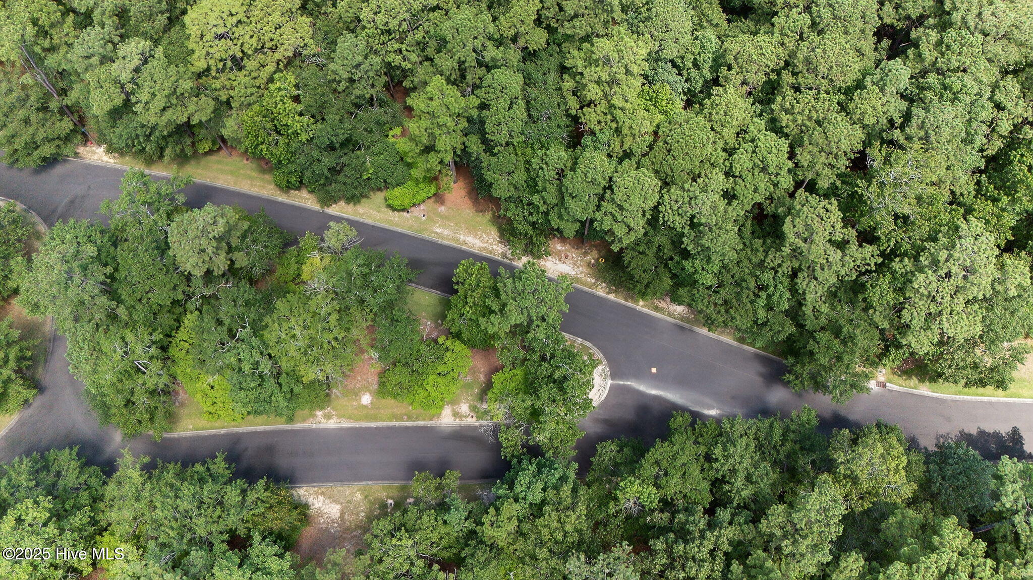 100519533 | Photo 21