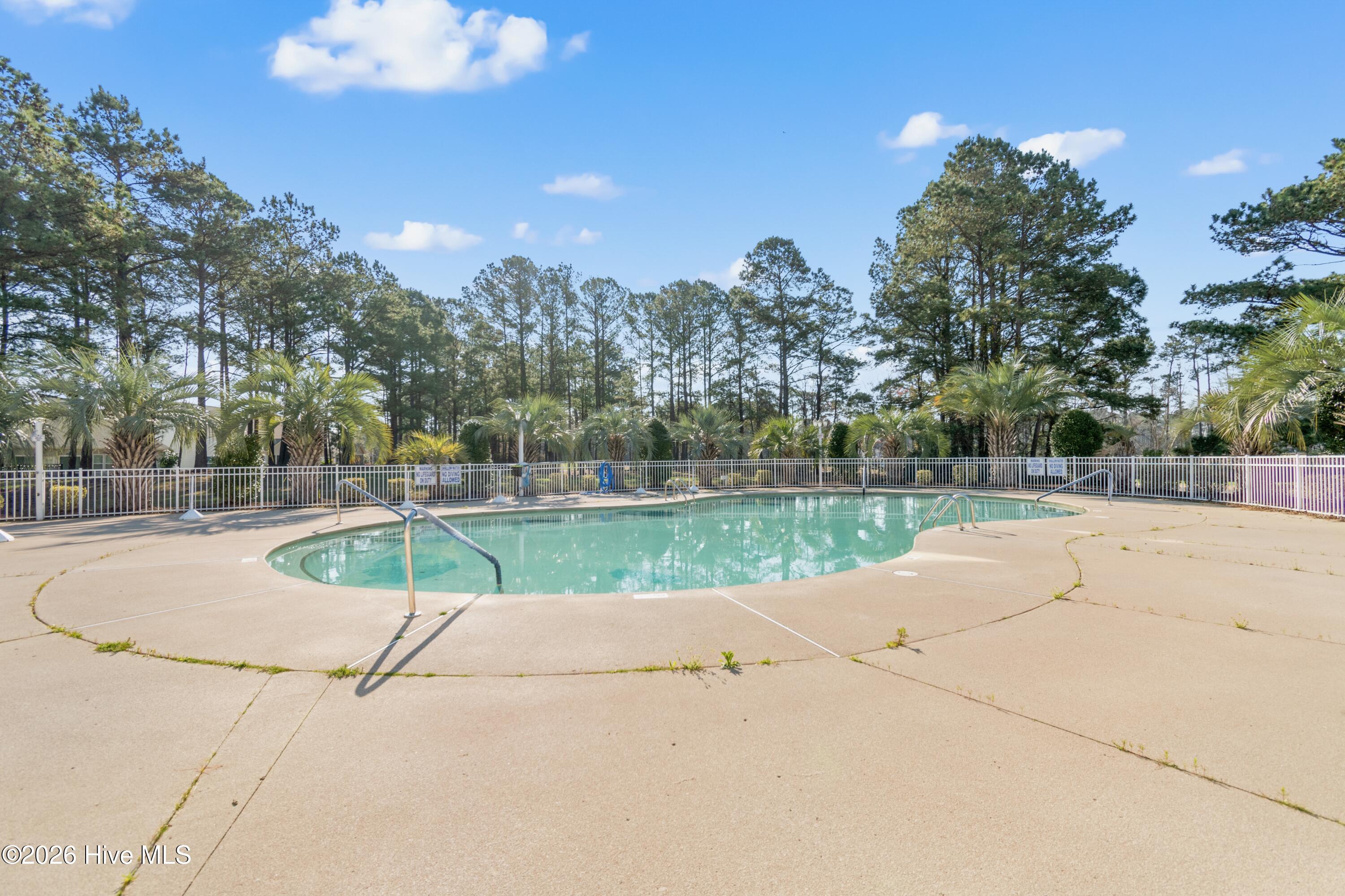 100560224 | Photo 42