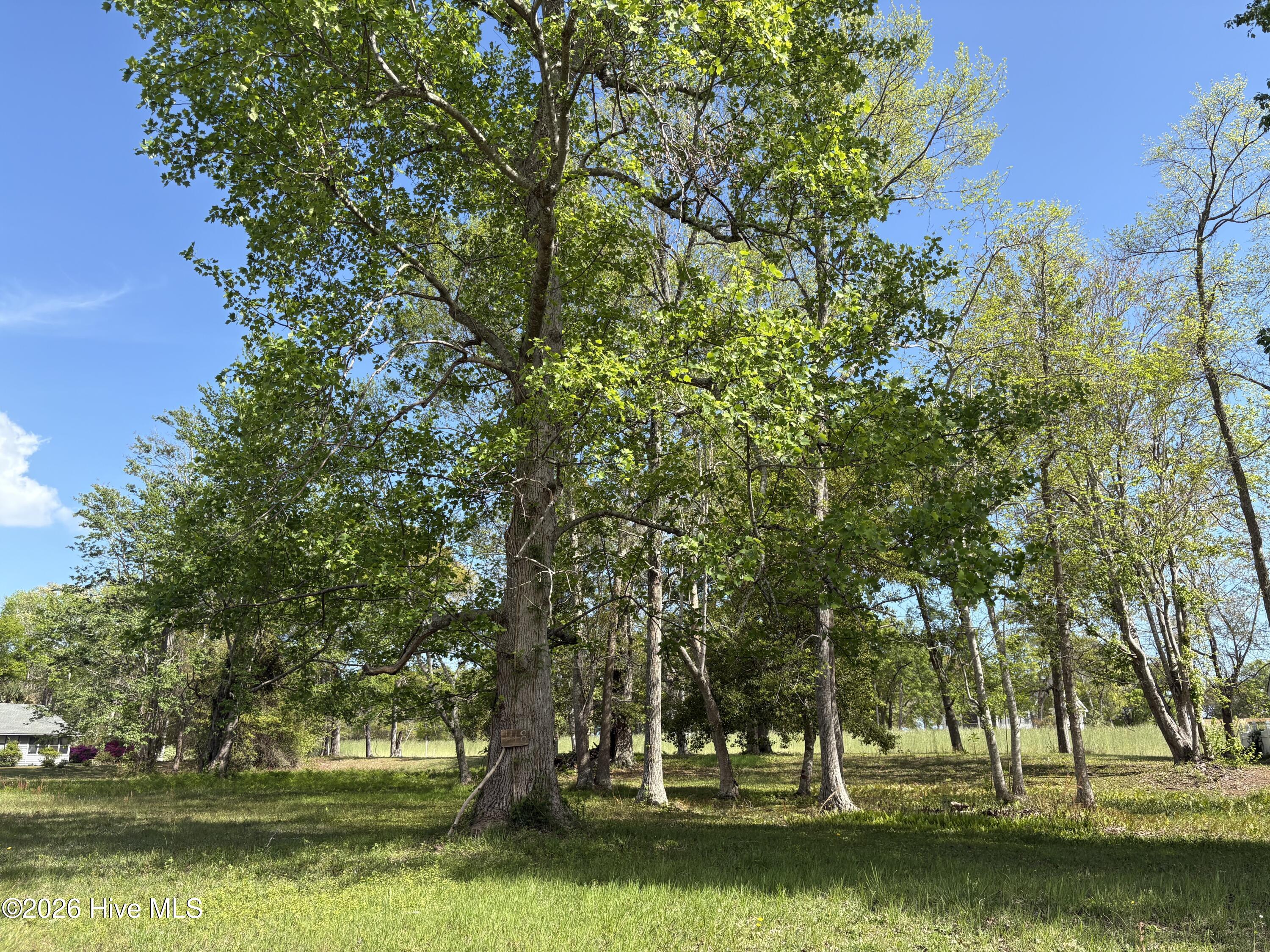 2599 Belmont Lake Drive, Rocky Mount, NC, 27804