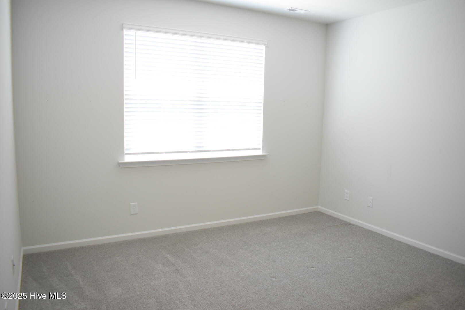 100535497 | Photo 11