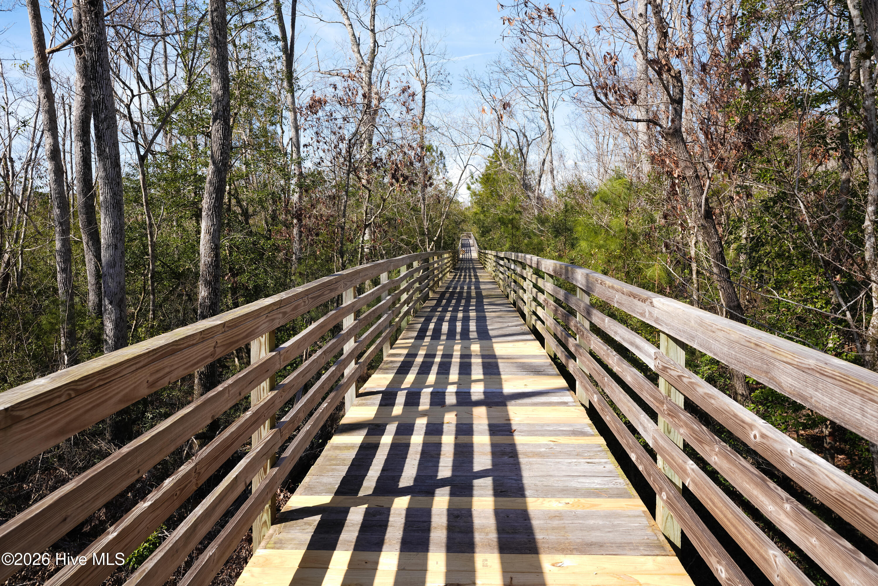 100553380 | Photo 38