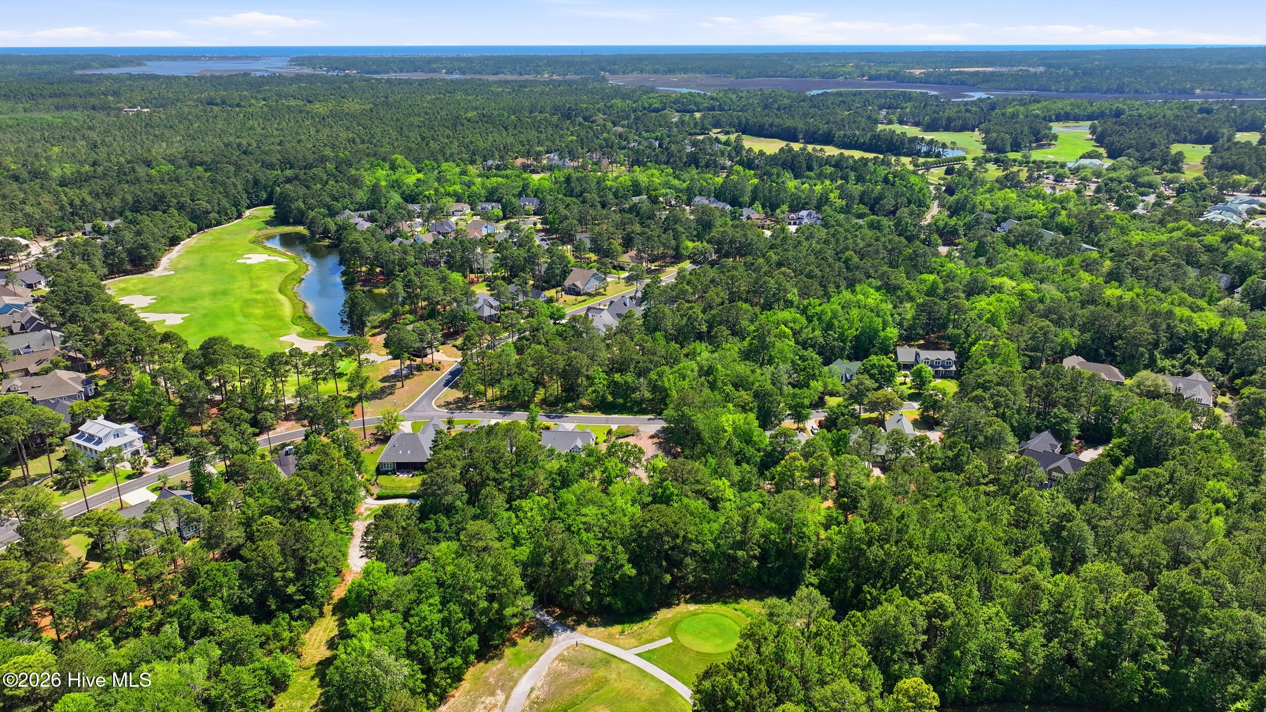 100570003 | Photo 15