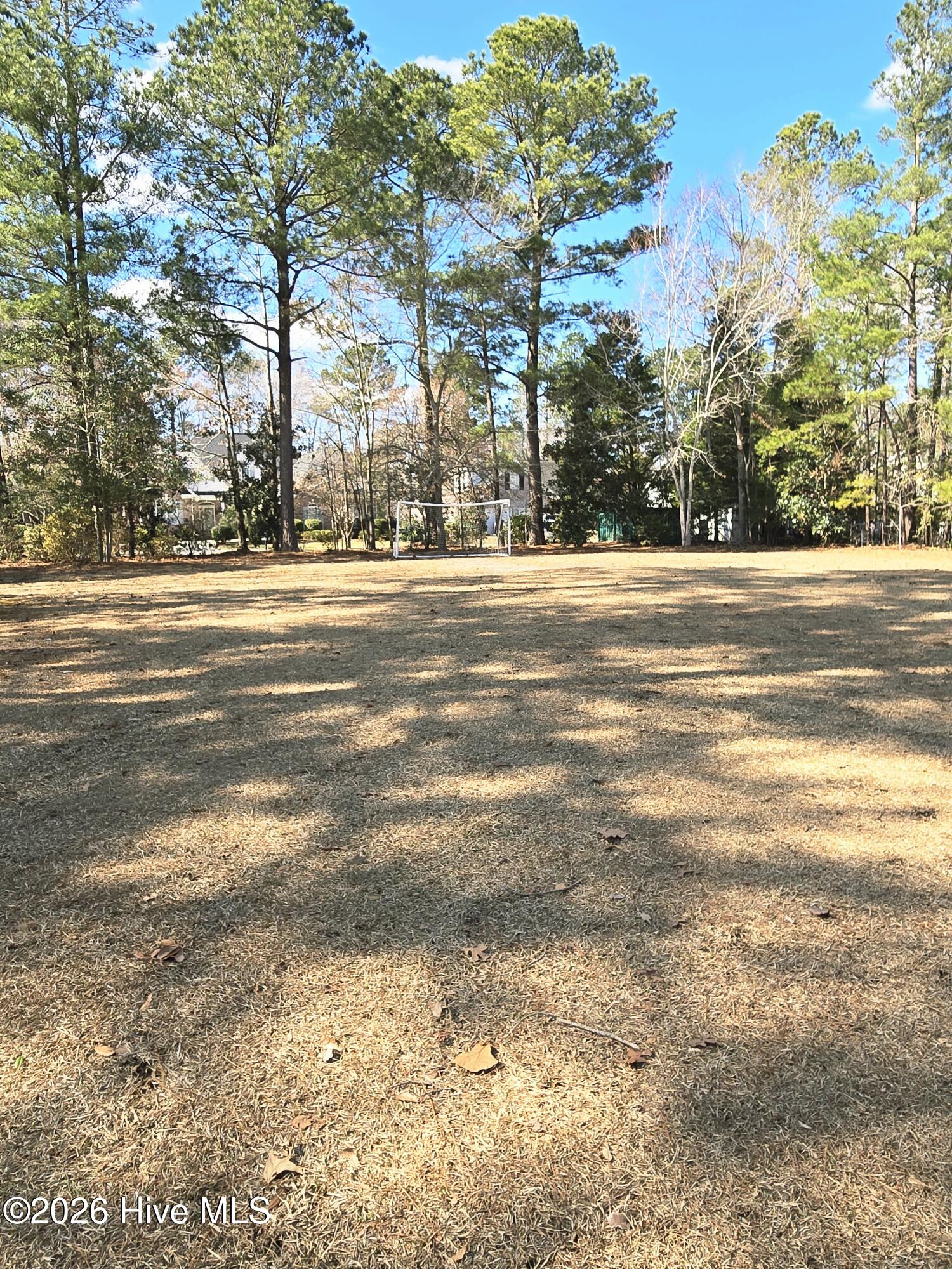 100526978 | Photo 36