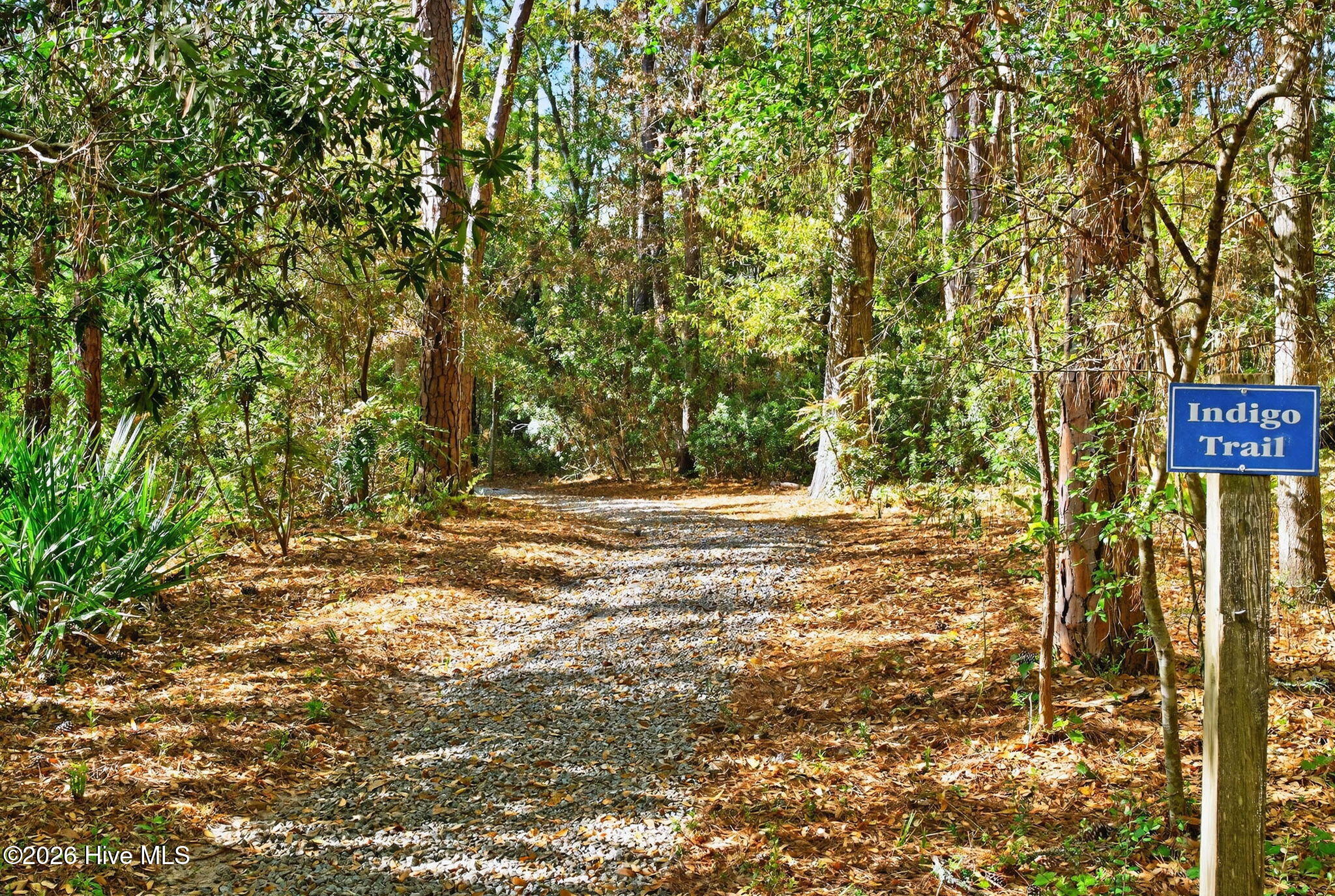 100564993 | Photo 58