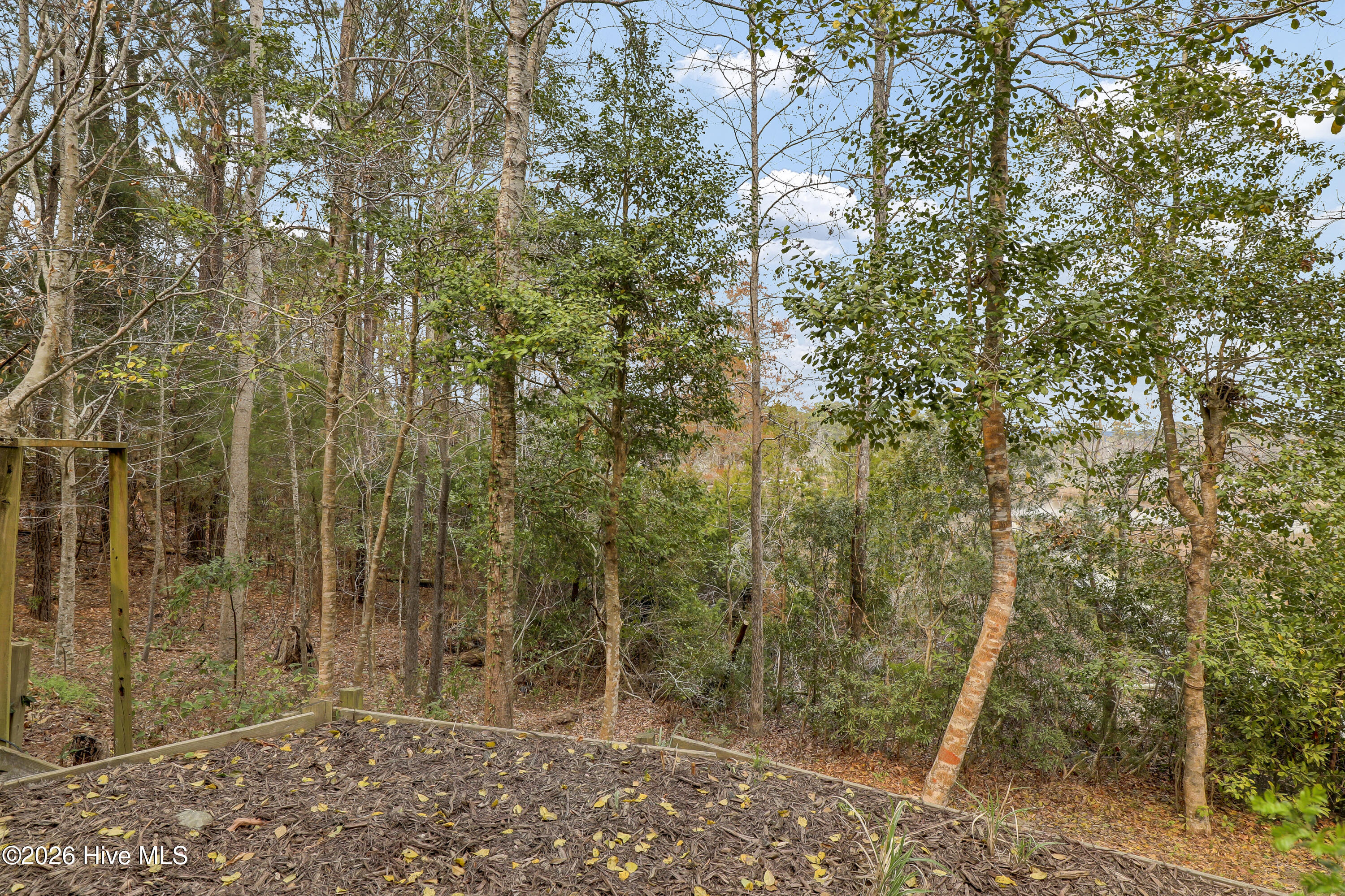 100563243 | Photo 53