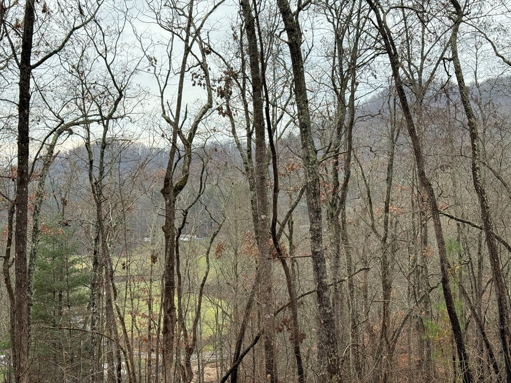 Exterior photo of 0 Flaming Ridge, Hayesville, NC 28904. MLS: 98525039