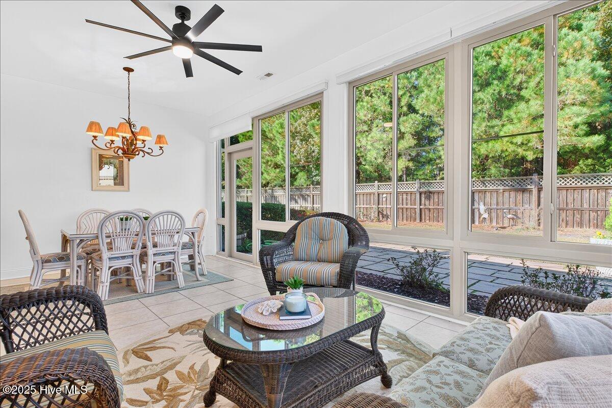 100541263 | Photo 25