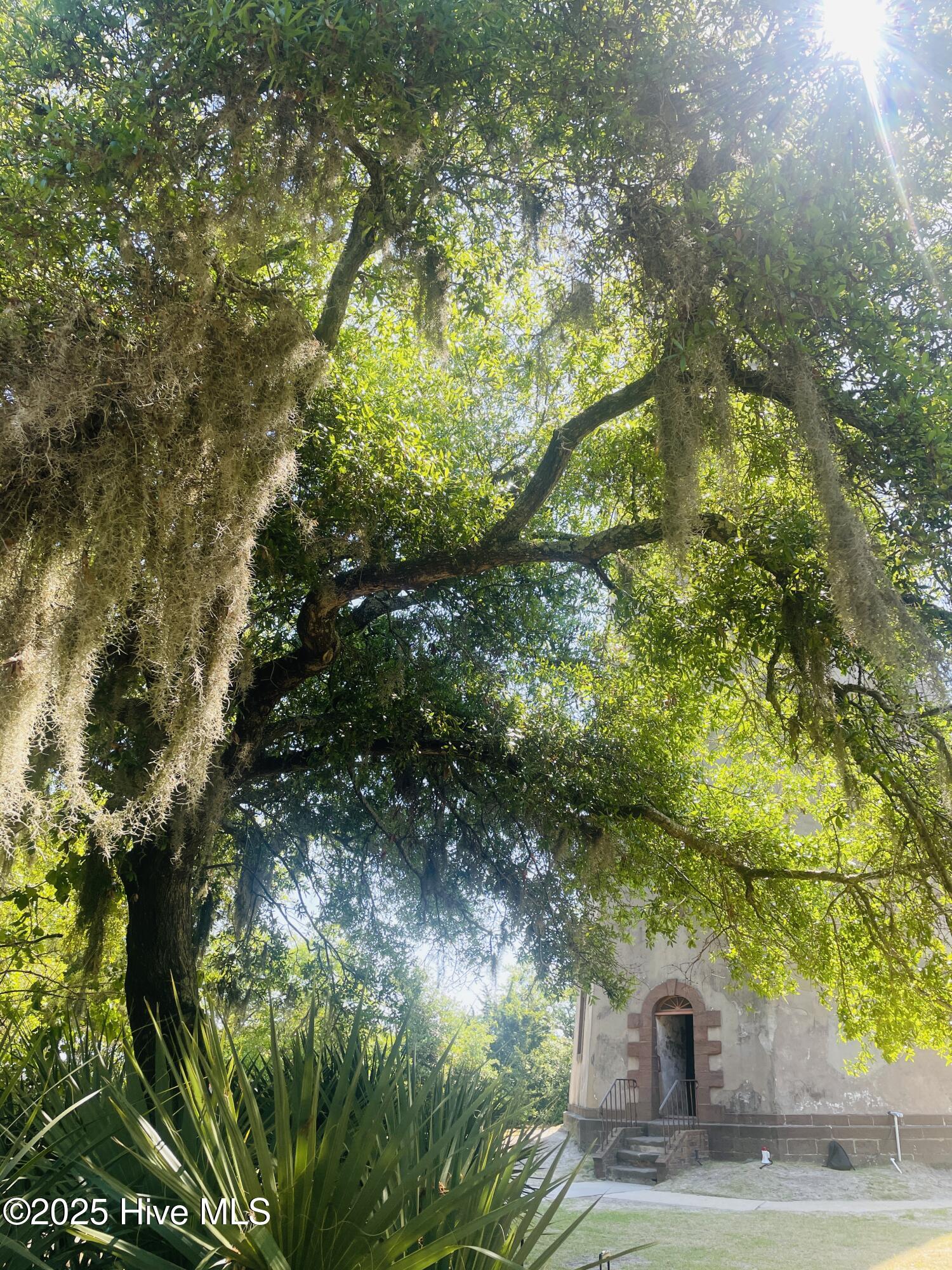 100532483 | Photo 13