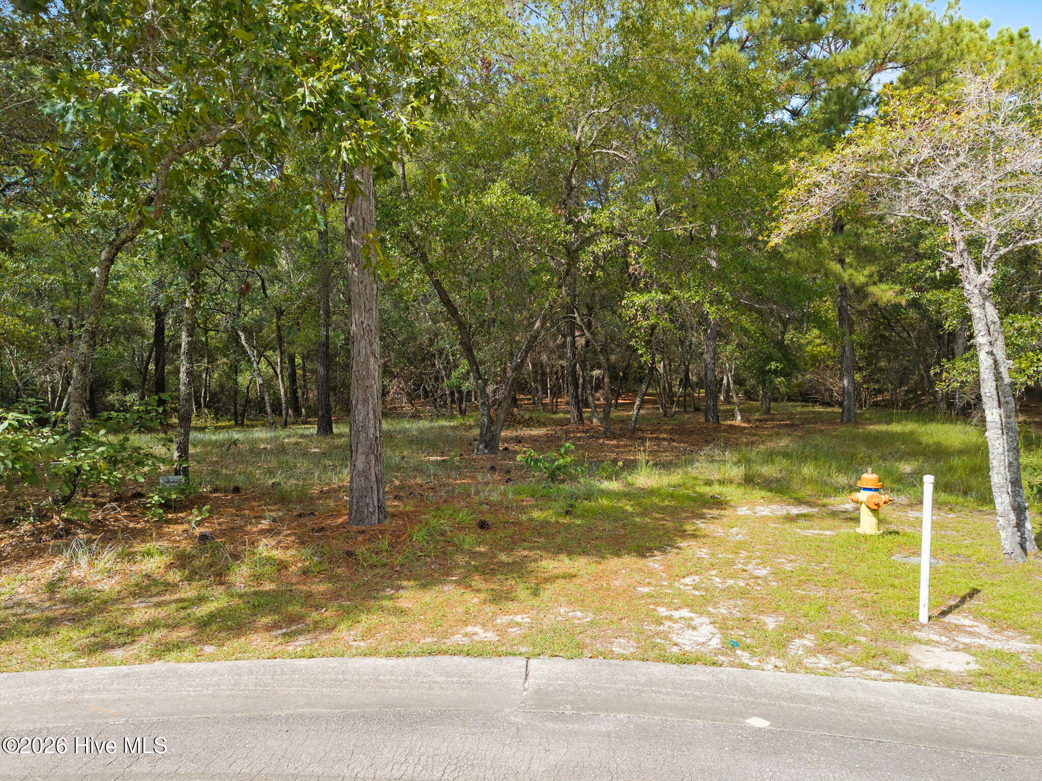Photo 2 of Land for sale at 3771 Acadian Ave SW, Supply, NC 28462 | MLS# 100608037 | Listing updated on 2026-10-05