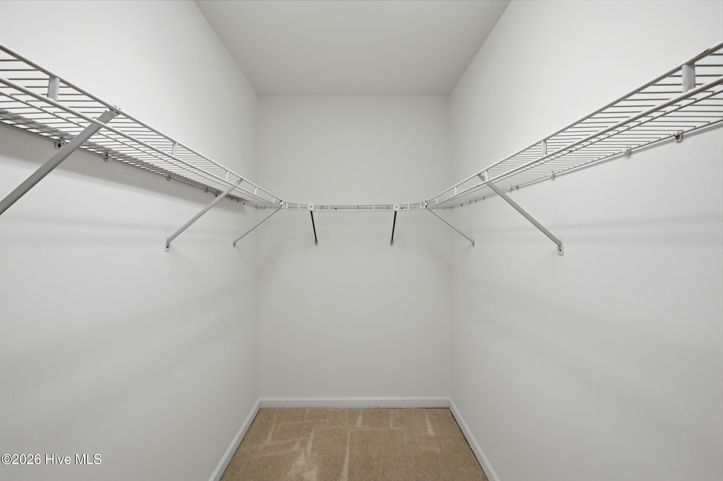 100562256 | Photo 22